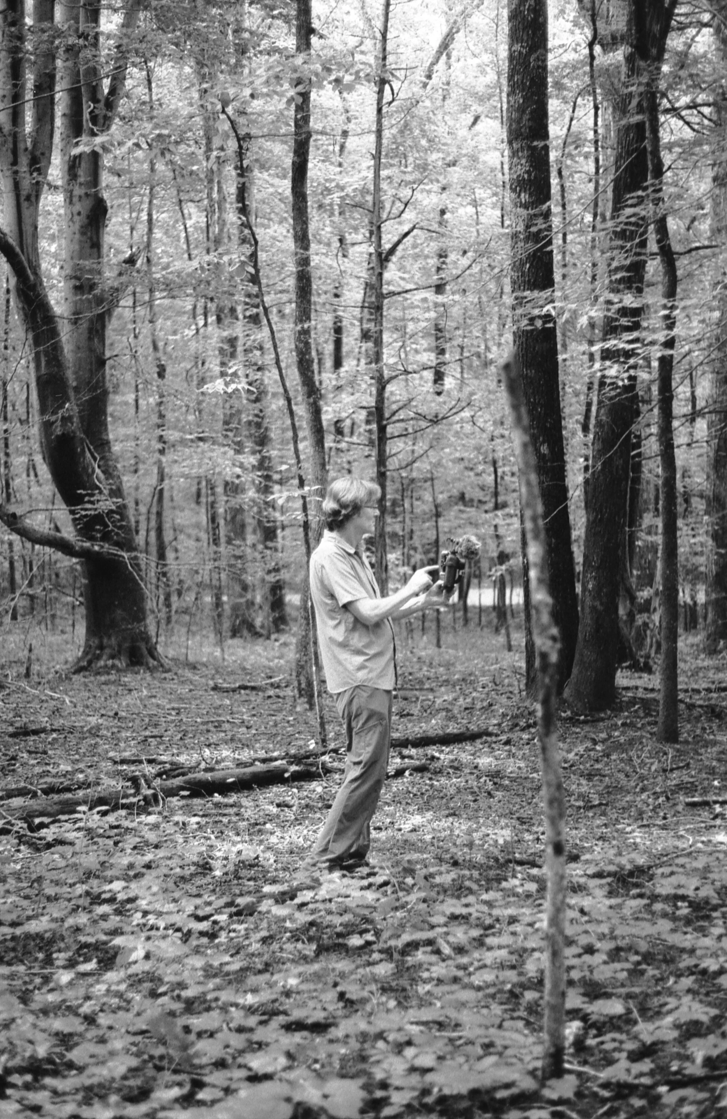 In_woods.jpg