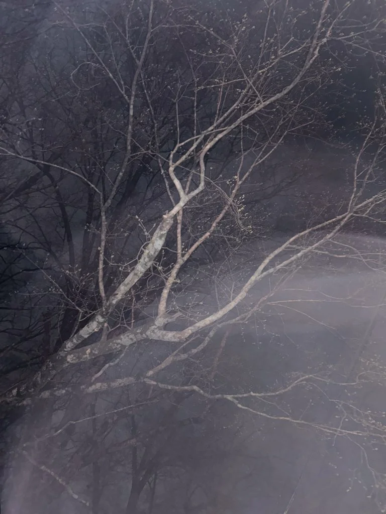 How Should I Move Through this World-097.jpg