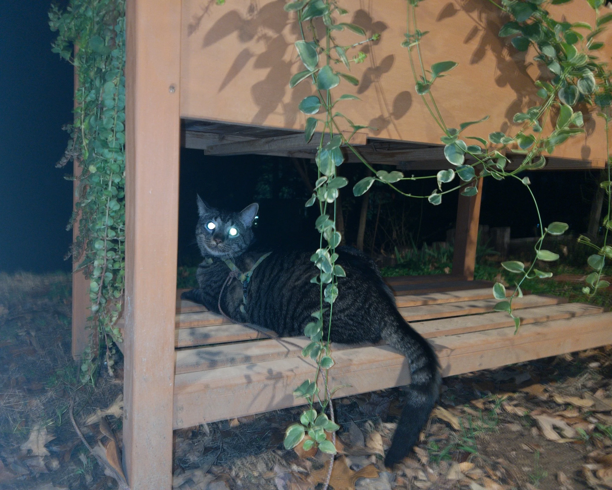 Past the Flower Streets-15.jpg