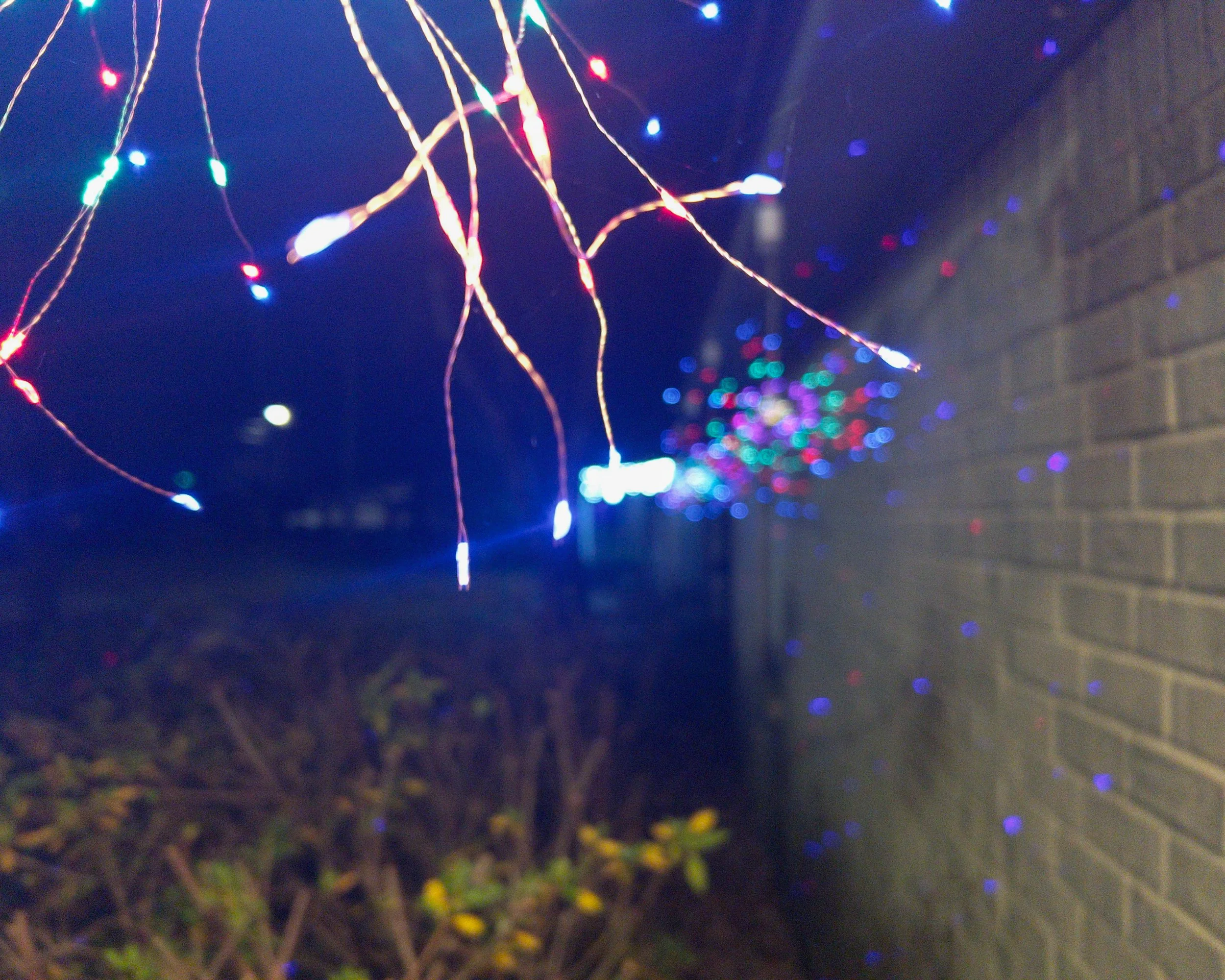 Past the Flower Streets-17.jpg