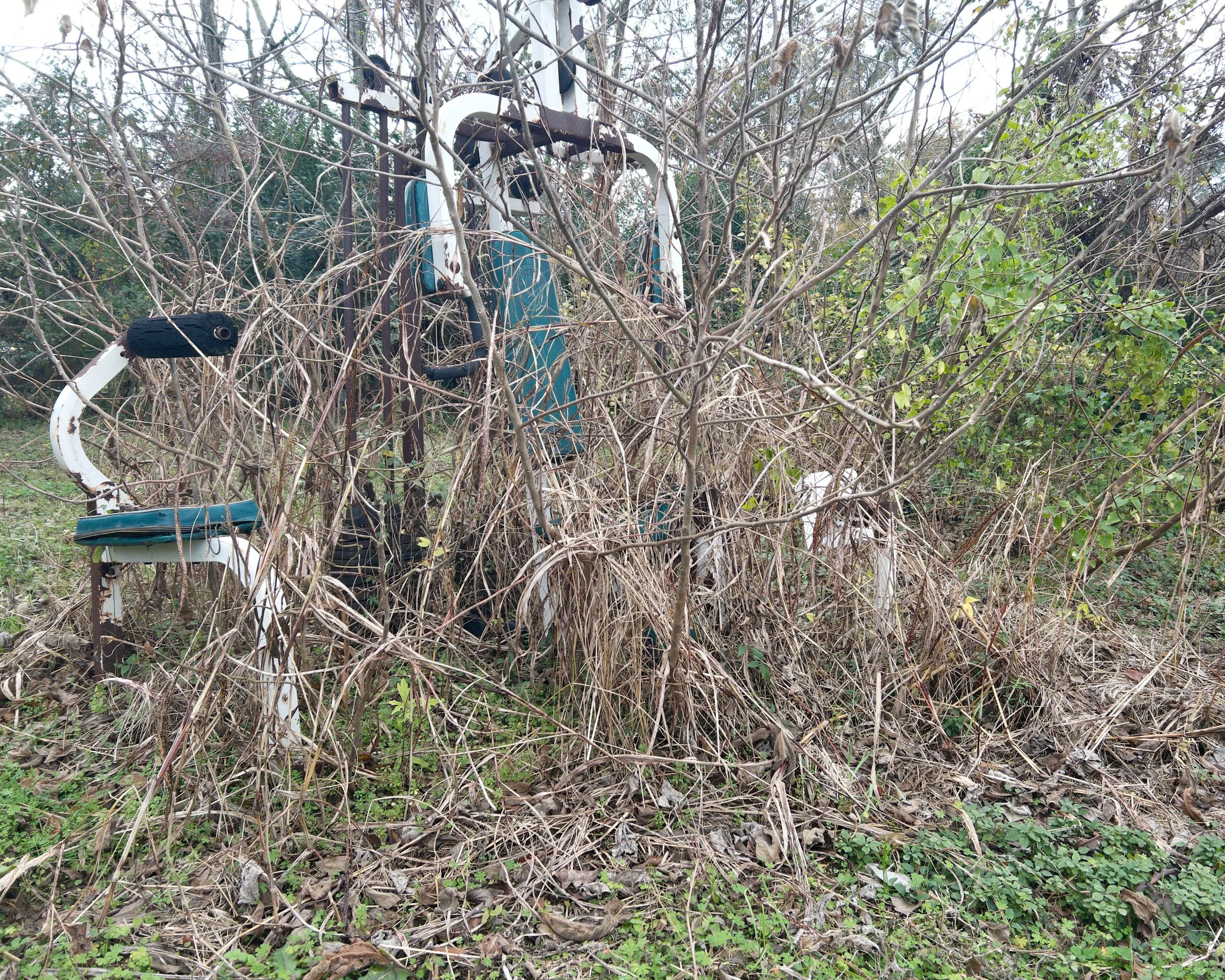 Past the Flower Streets-21.jpg