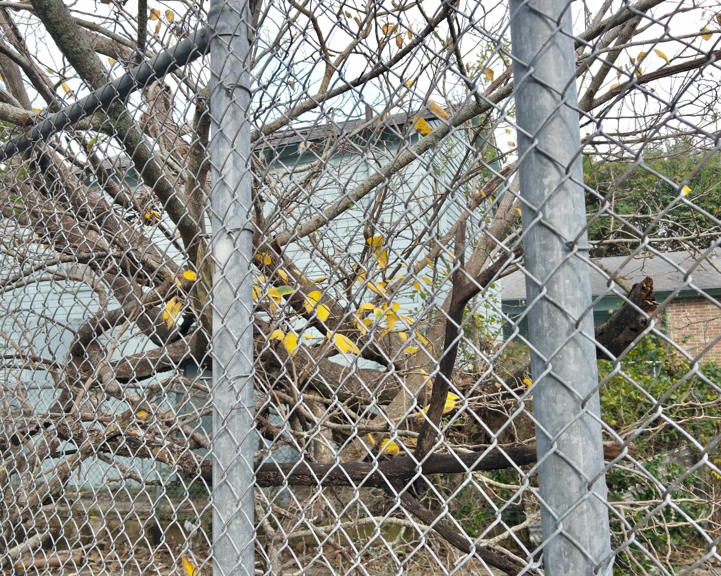 Past the Flower Streets-28.jpg