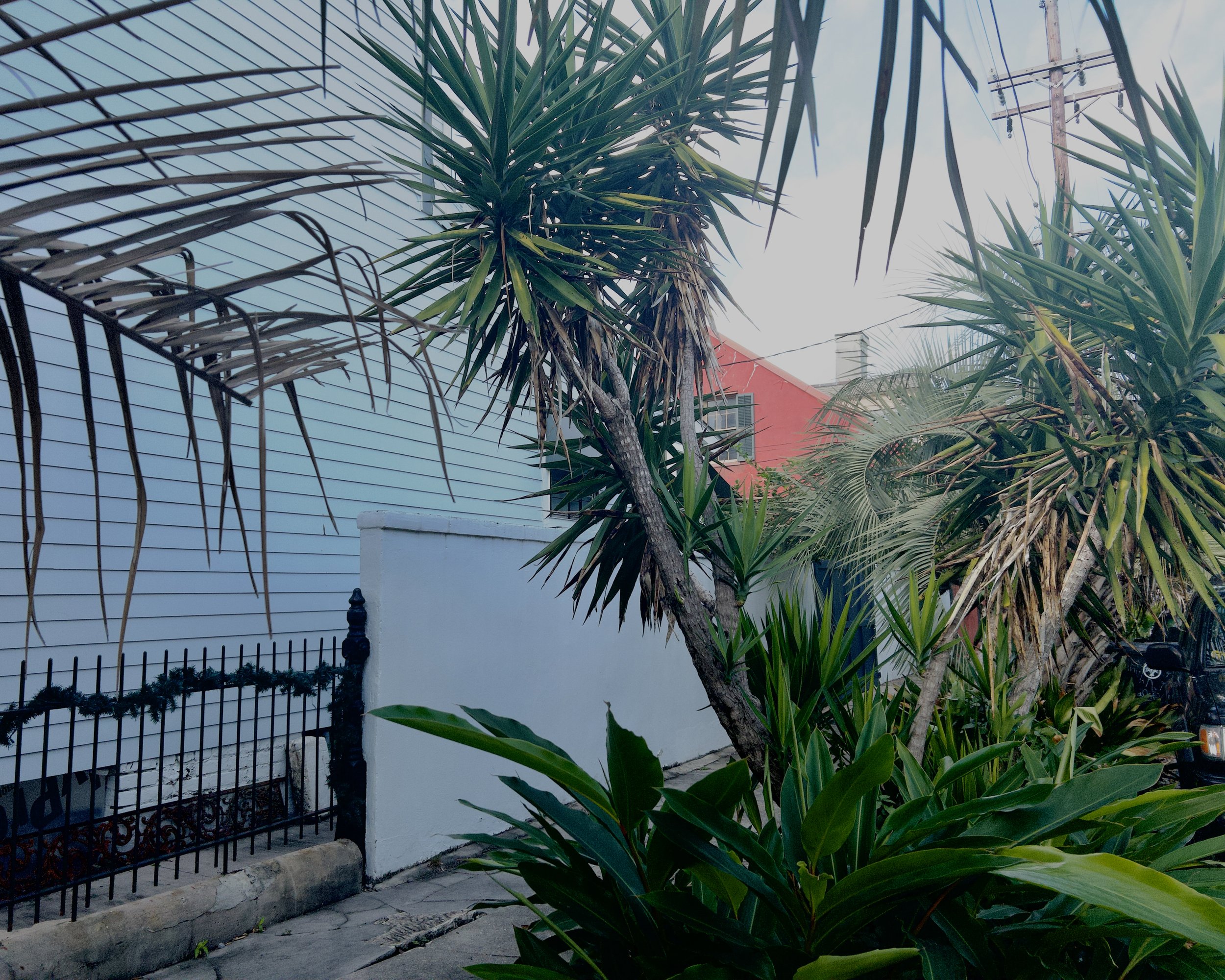 Past the Flower Streets-42.jpg