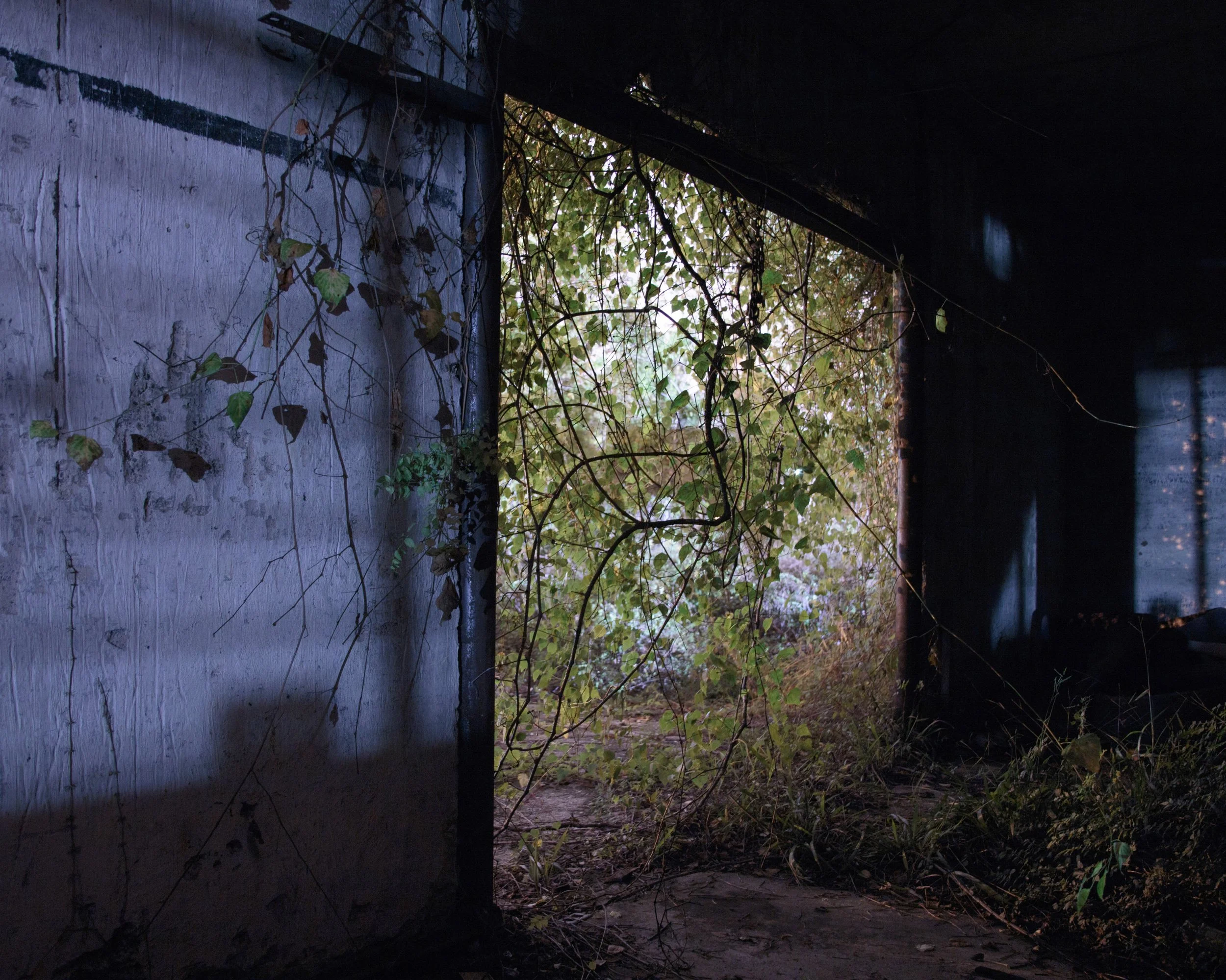 Past the Flower Streets-51.jpg