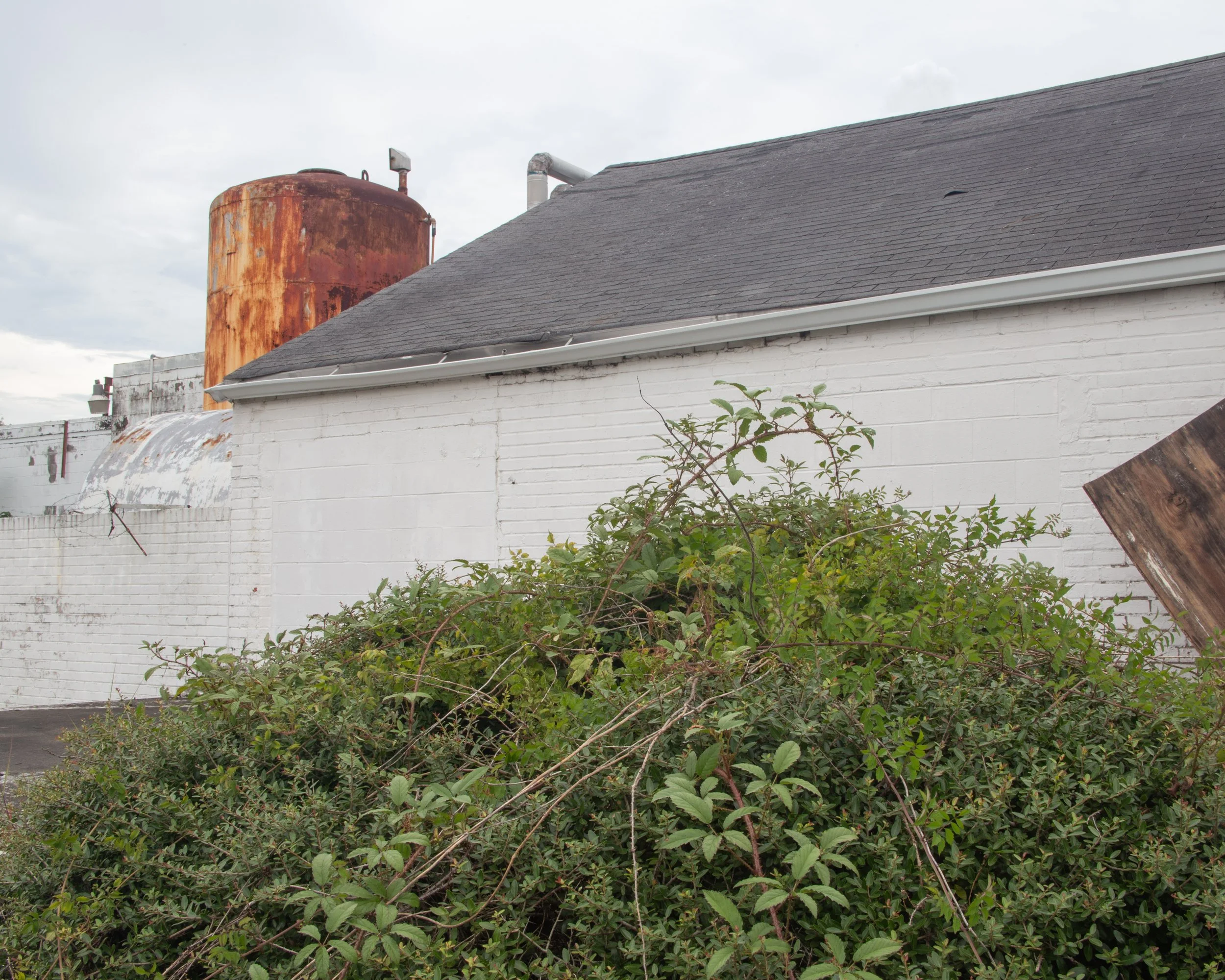 Past the Flower Streets-56.jpg