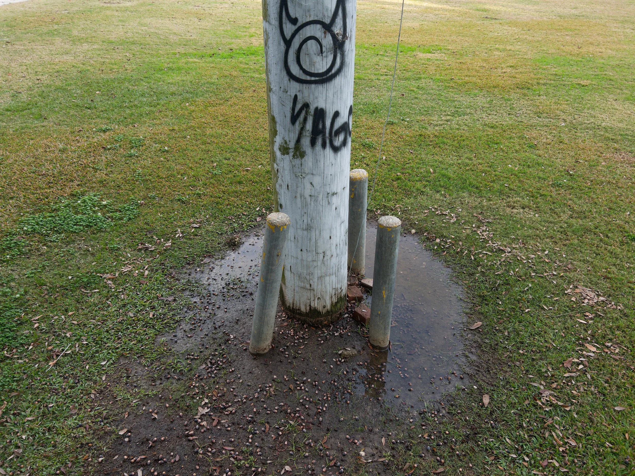 Past the Flower Streets-04.jpg