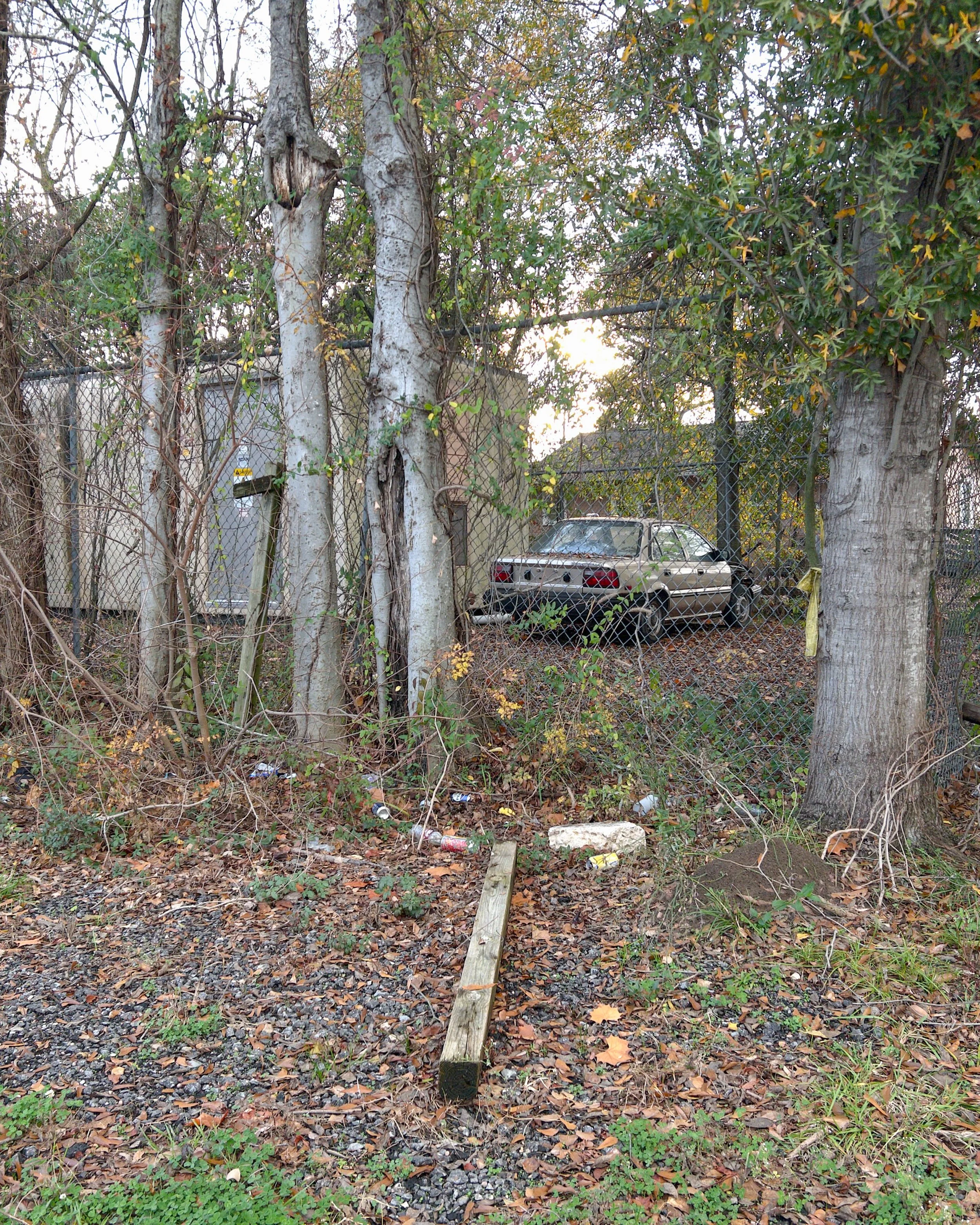 Past the Flower Streets-07.jpg