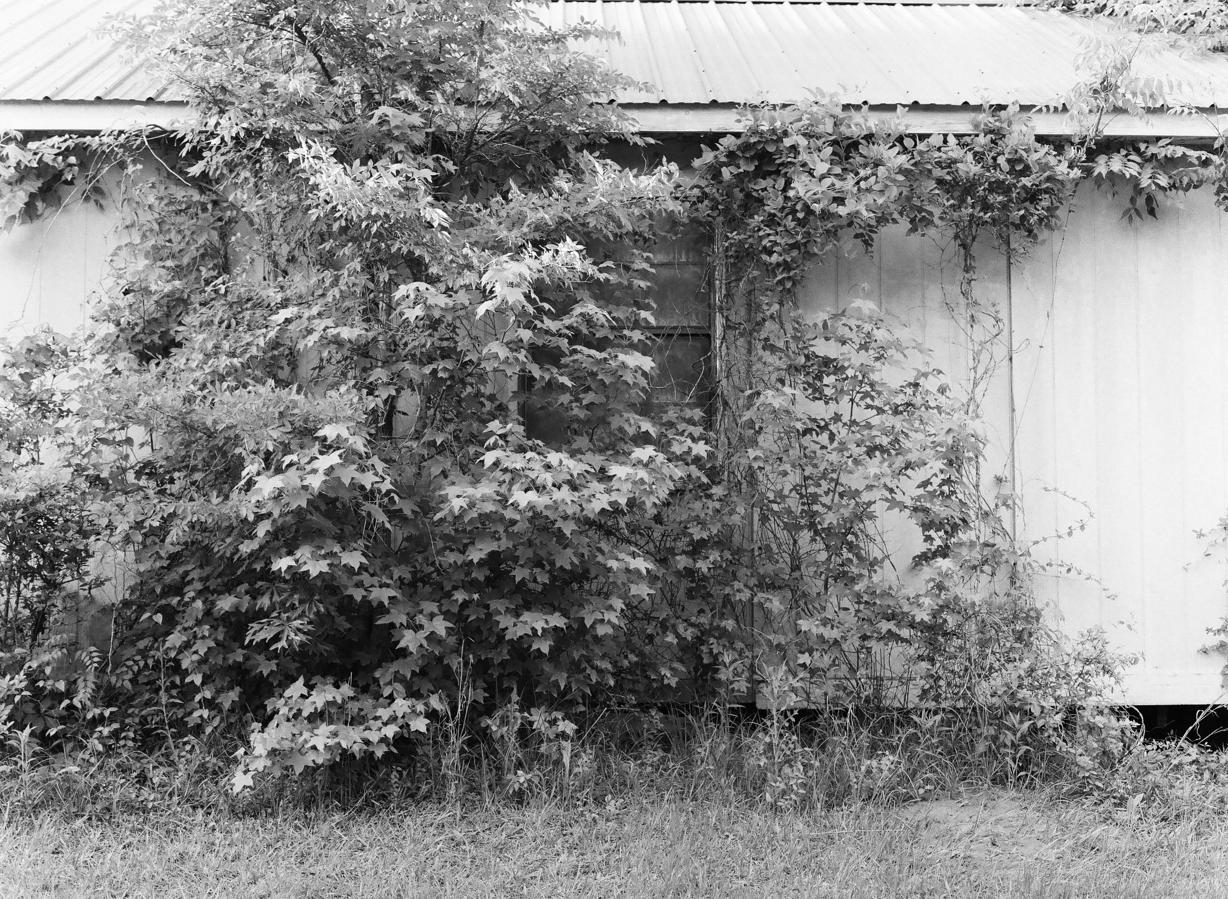 Room with a View, 2023