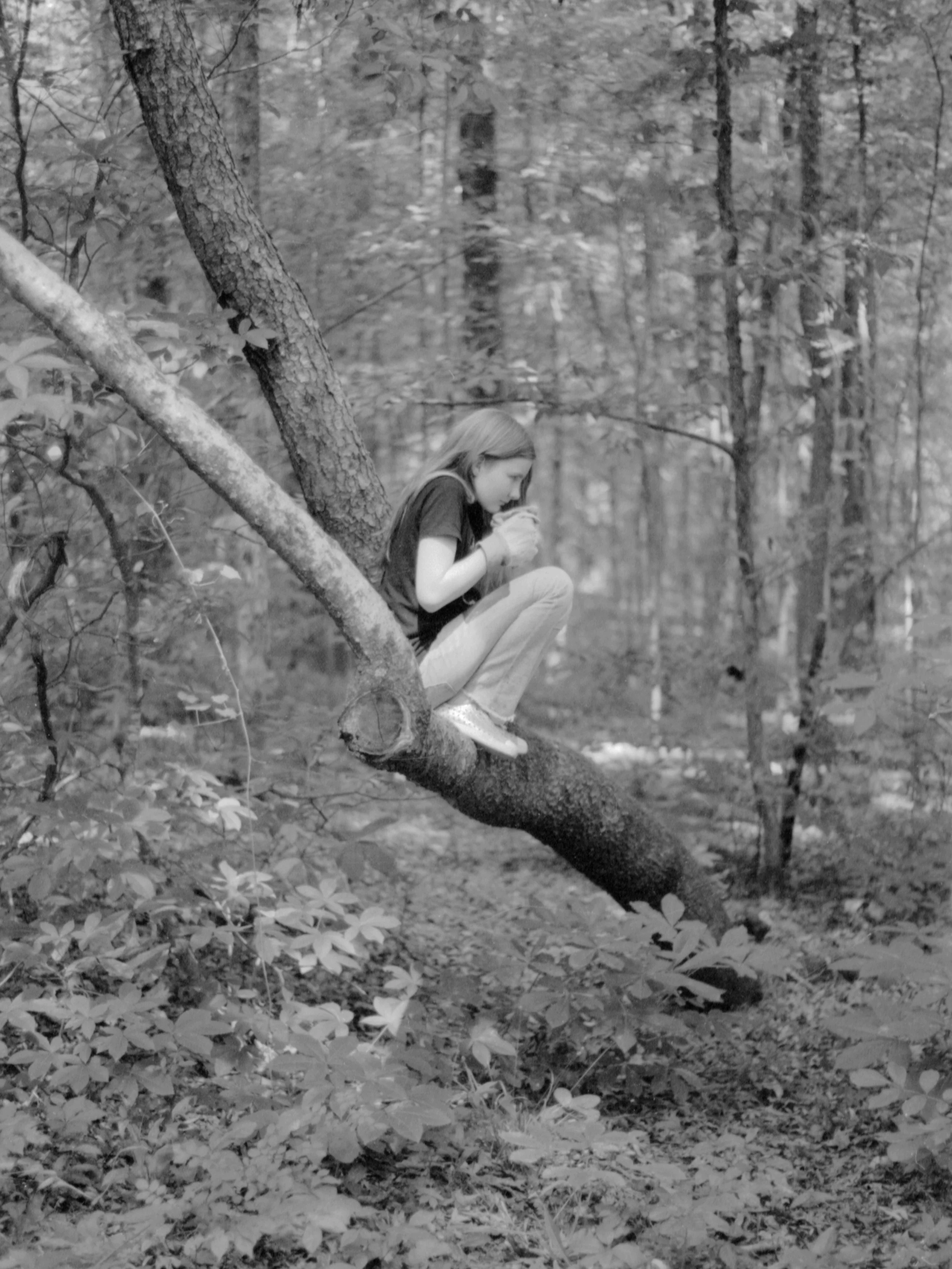 Persistence Revistited, 2020