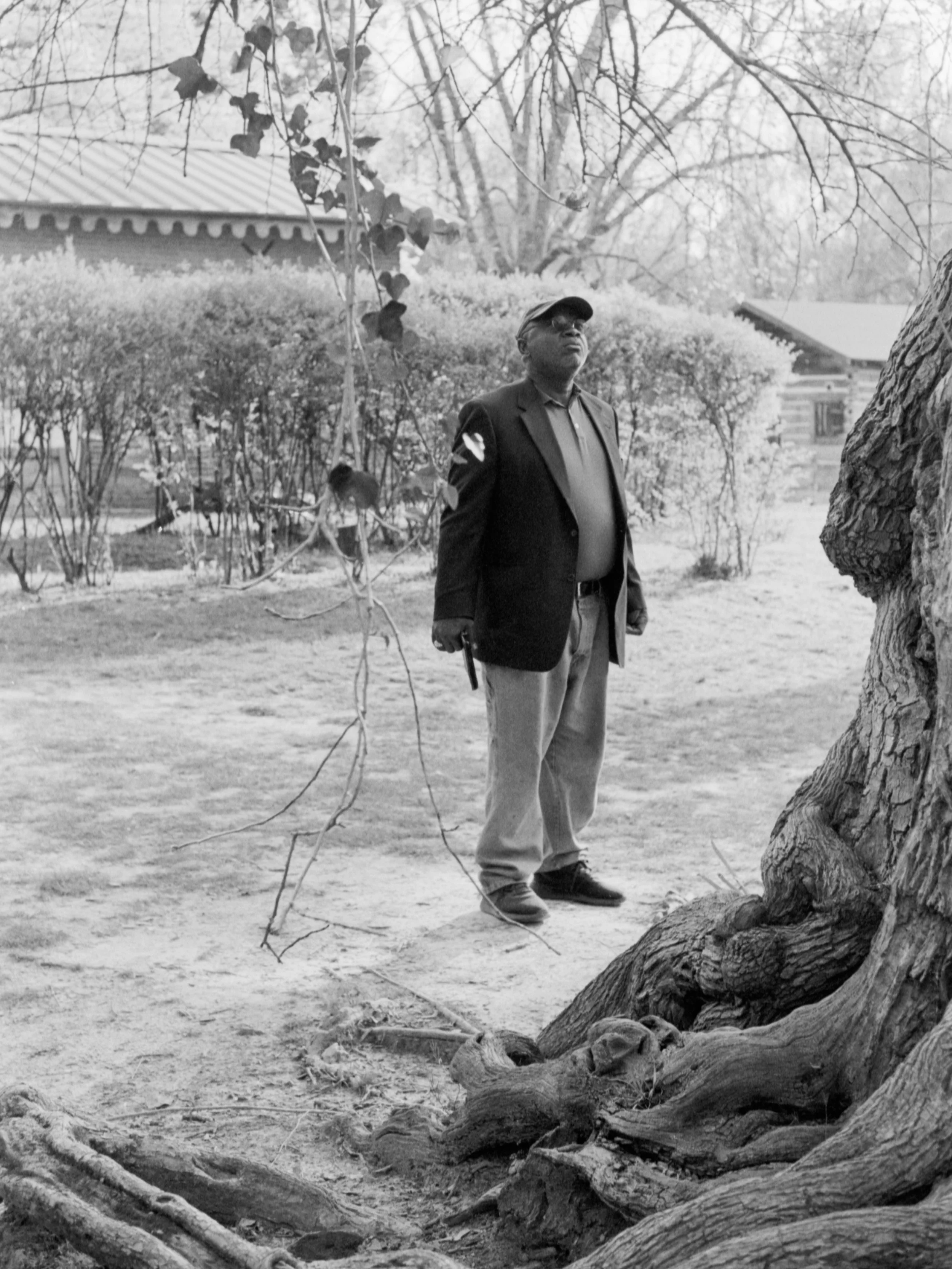 What the Old Oak Saw (Slave Quarters at Rowan Oak), 2019