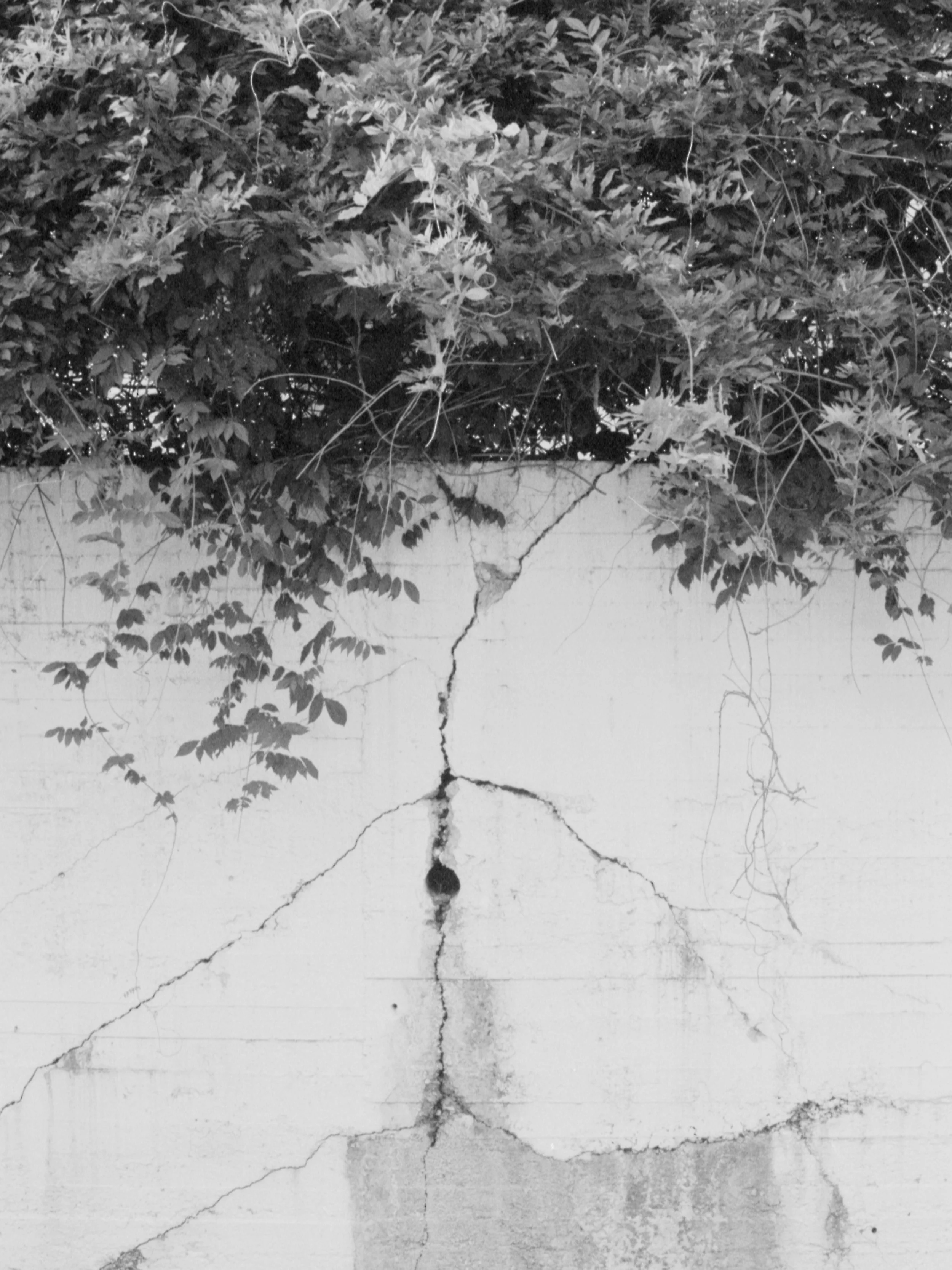 Walls Crack (Umbrella), 2018