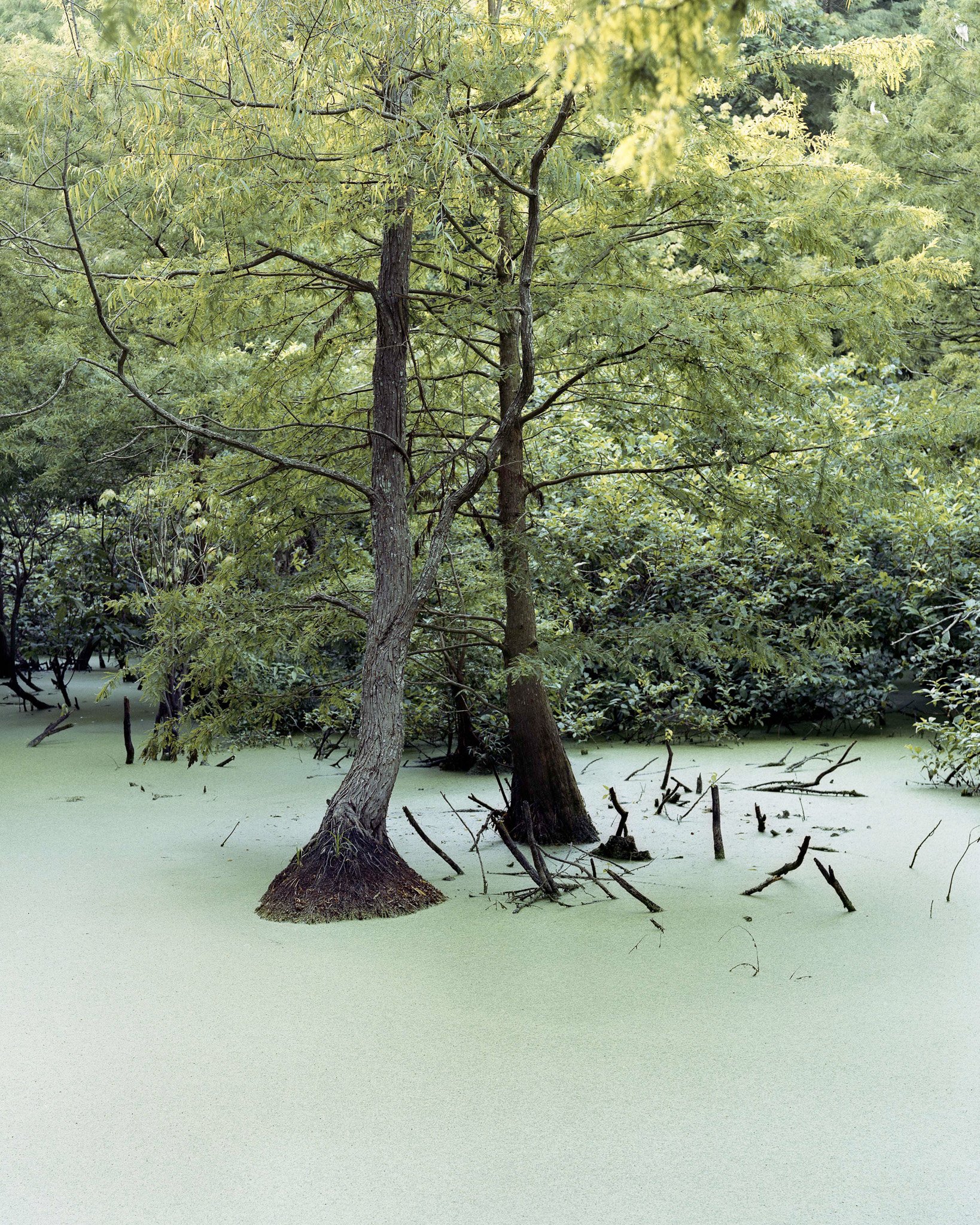 Gather 'Round the Ancient Lake