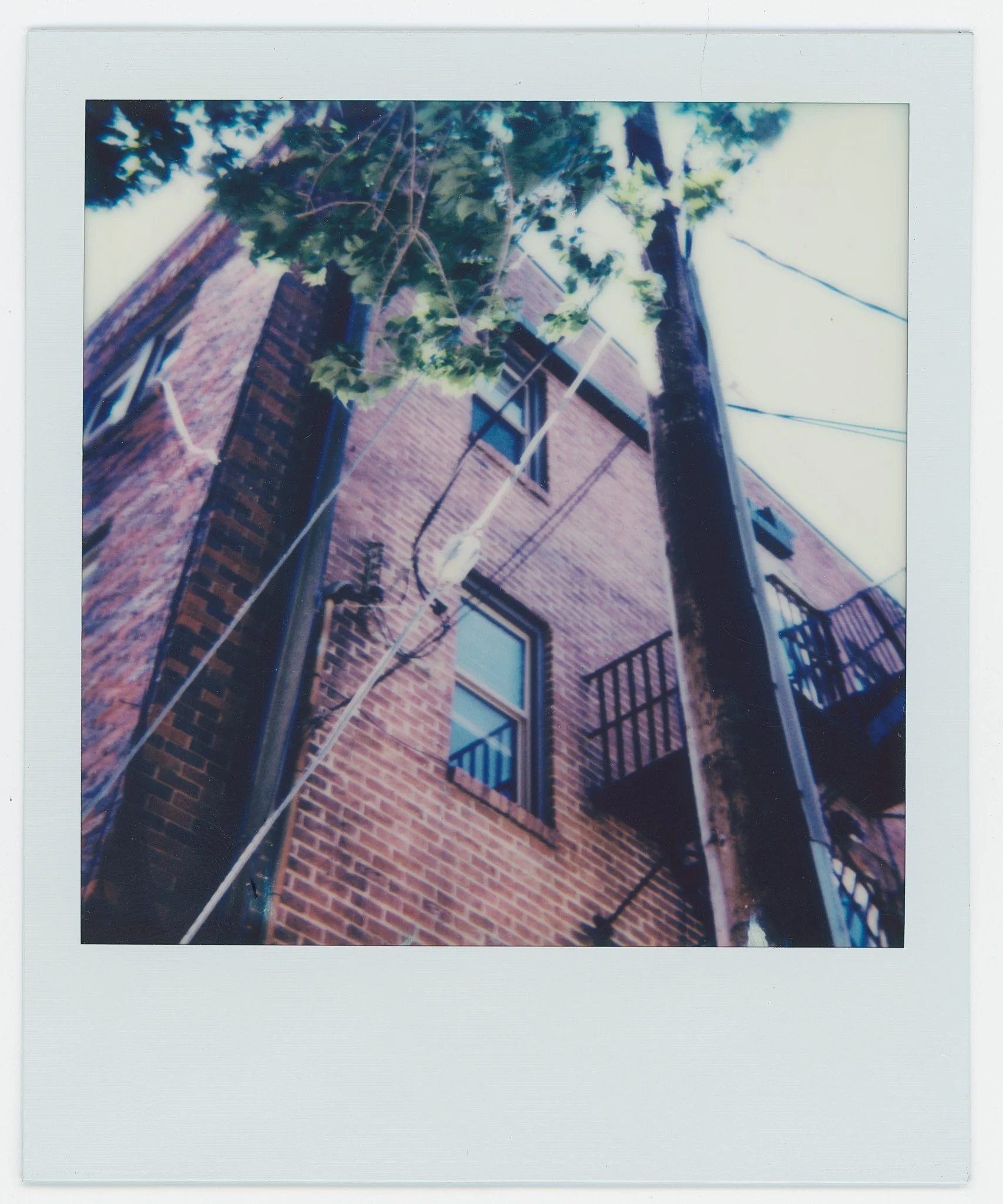 Persistance (10) copy 6.jpg