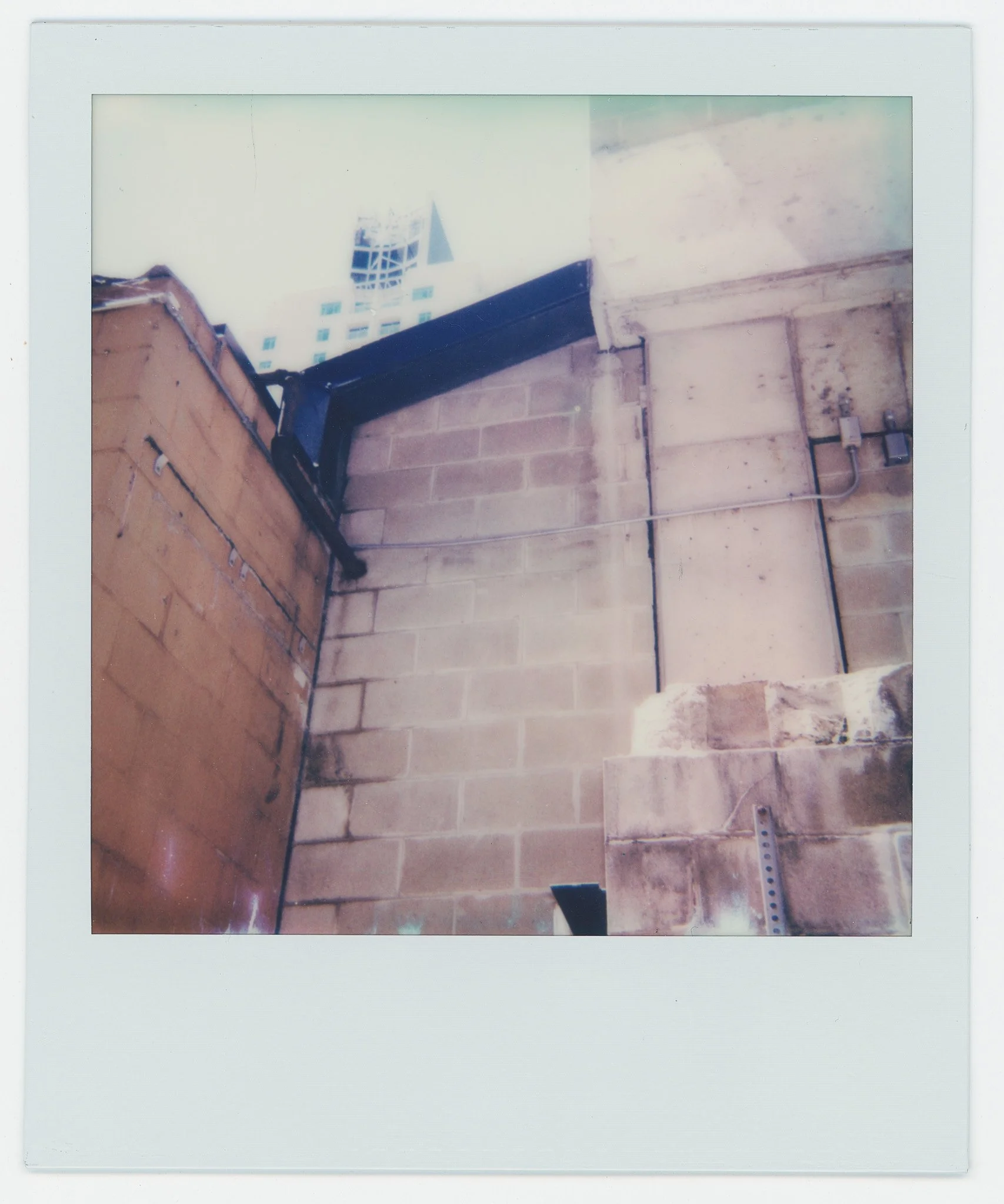 Persistance (10) copy 8.jpg