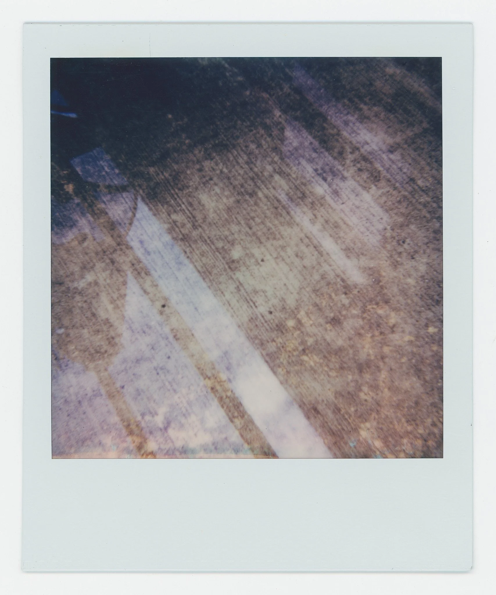 Persistance (10) copy 9.jpg