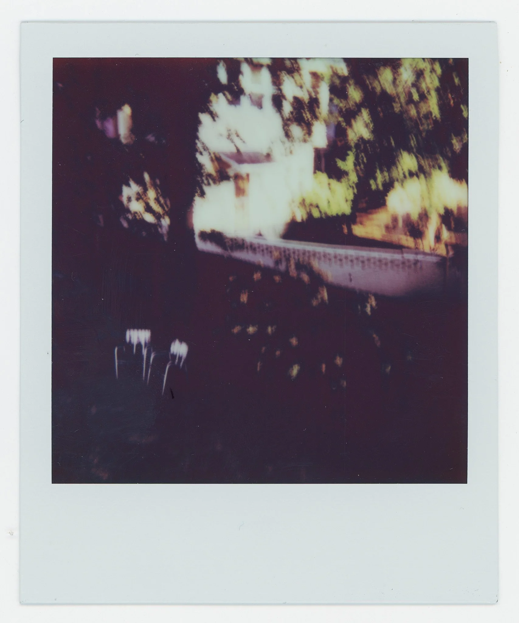 Persistance (10) copy 13.jpg