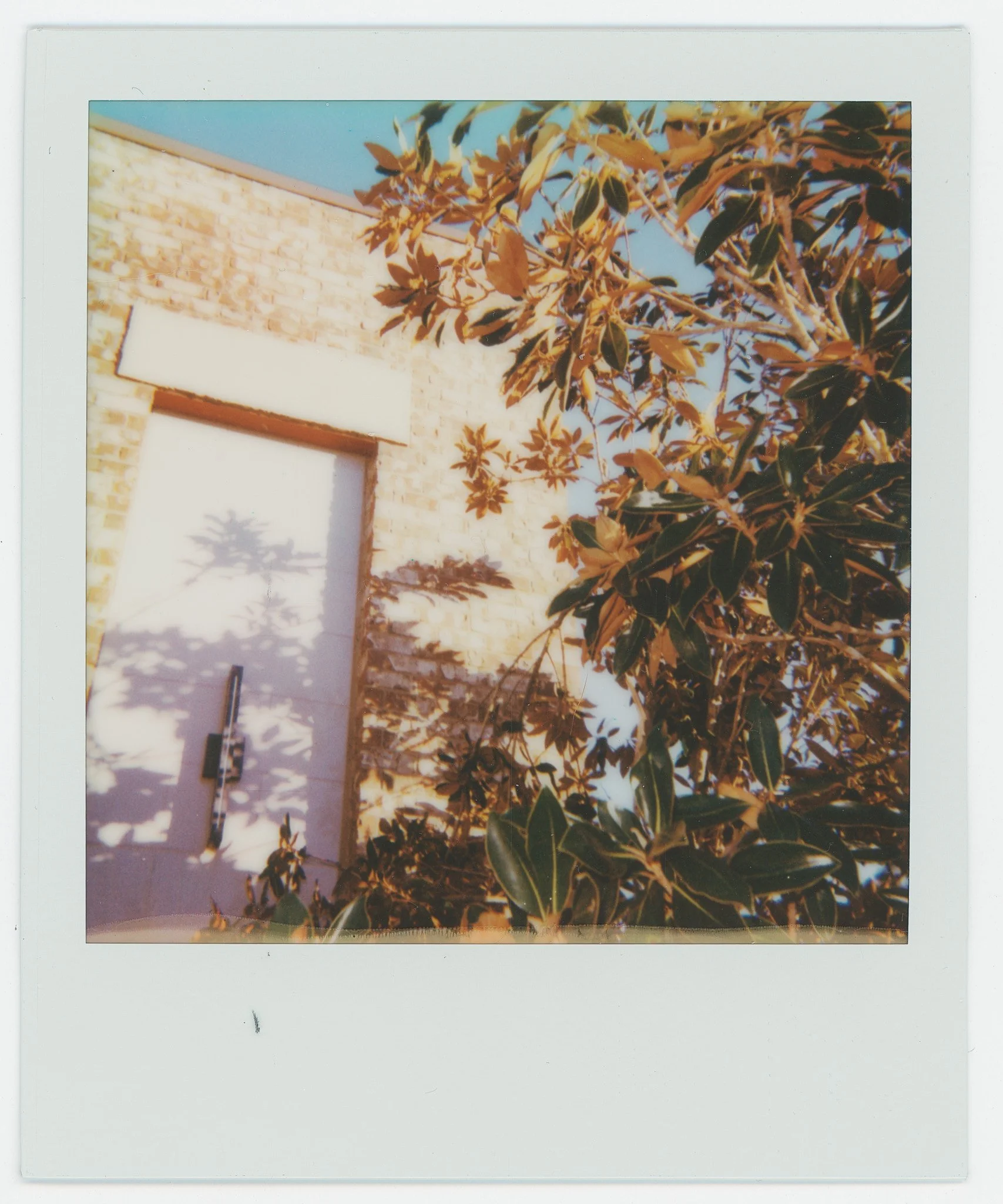 Persistance (10) copy.jpg