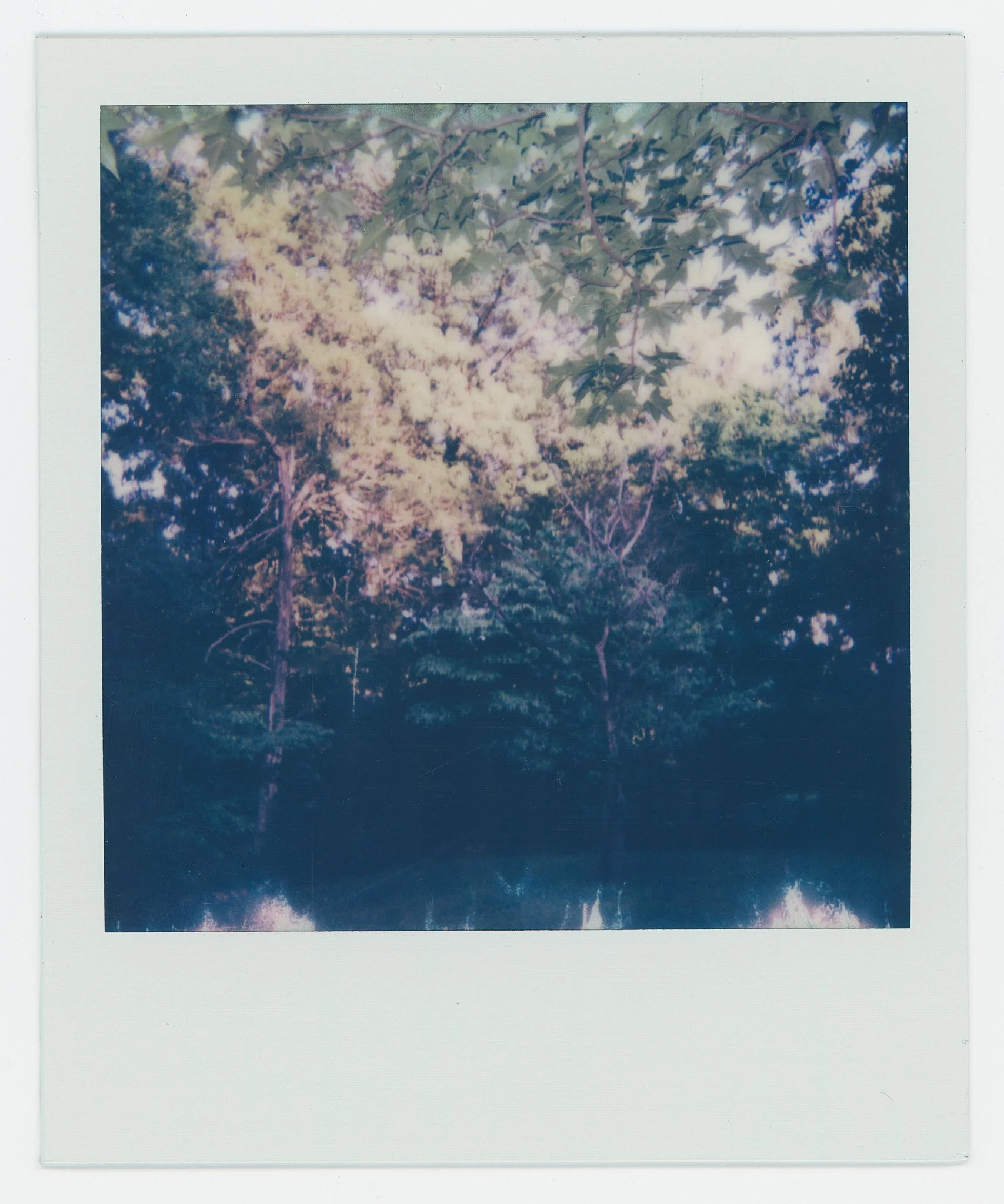 Persistance (10).jpg