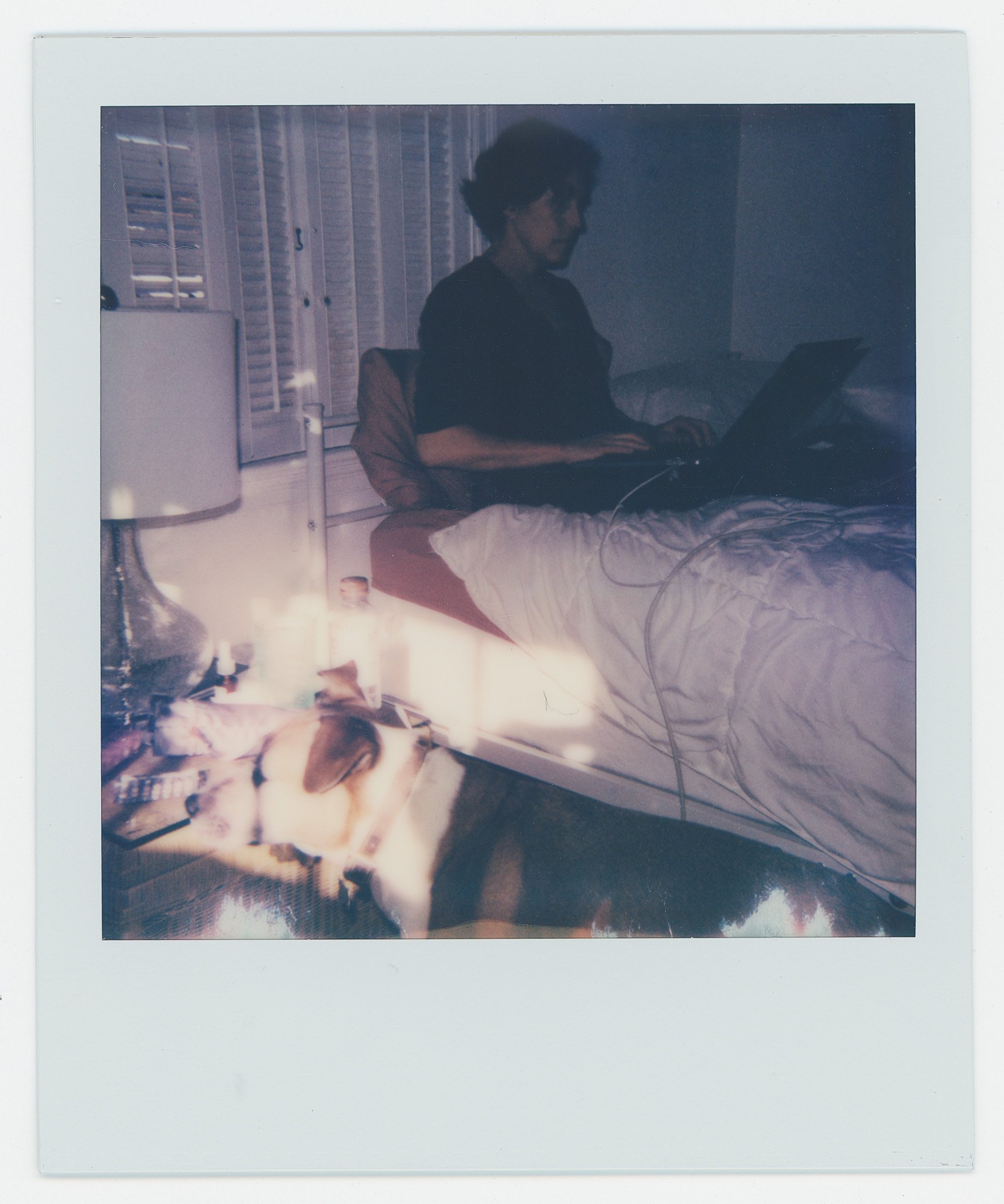 Persistance (11) copy.jpg