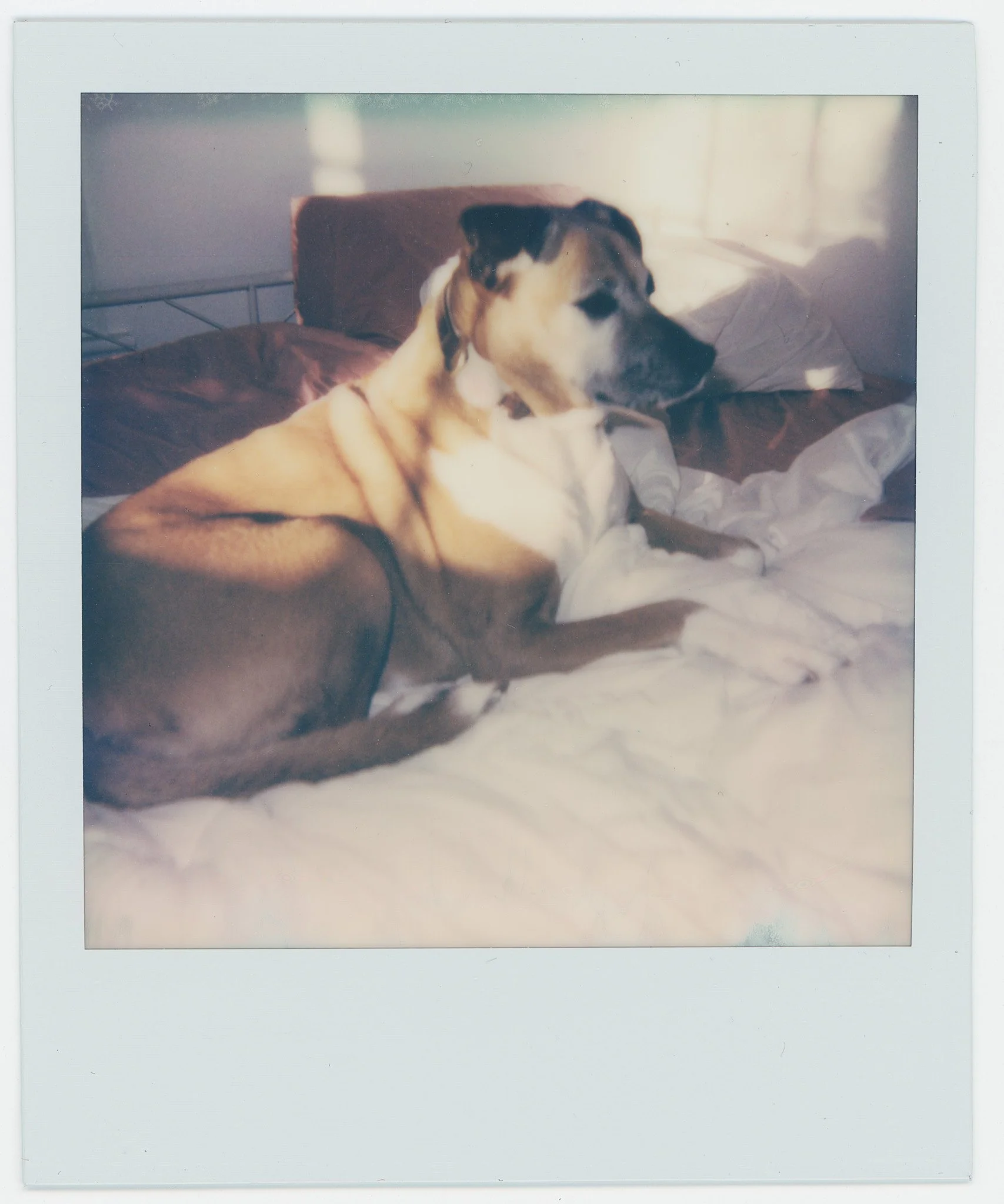 Persistance (12).jpg