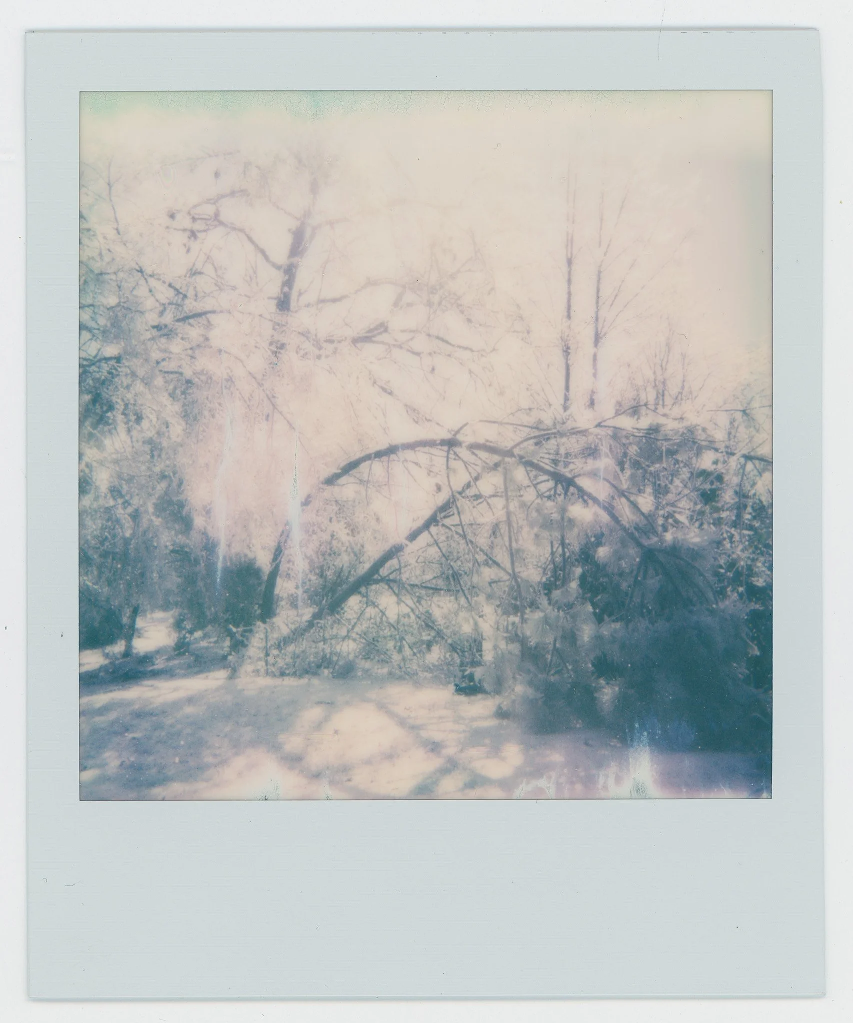 Persistance (14).jpg