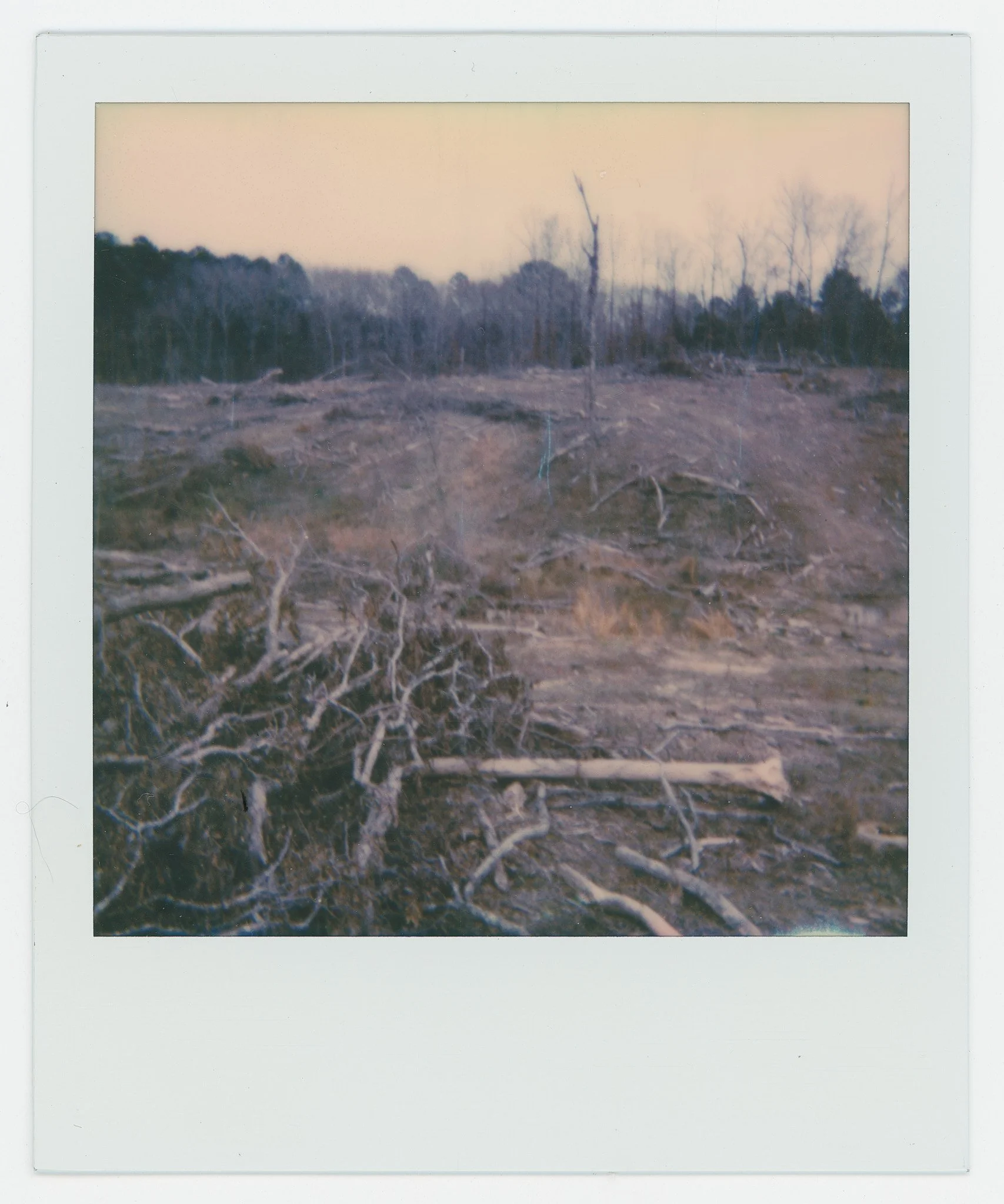 Persistance (15).jpg