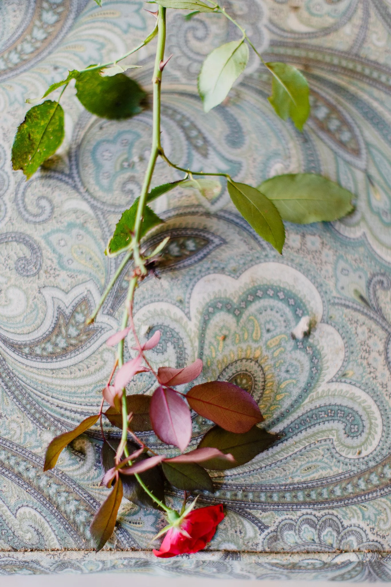 Florals 