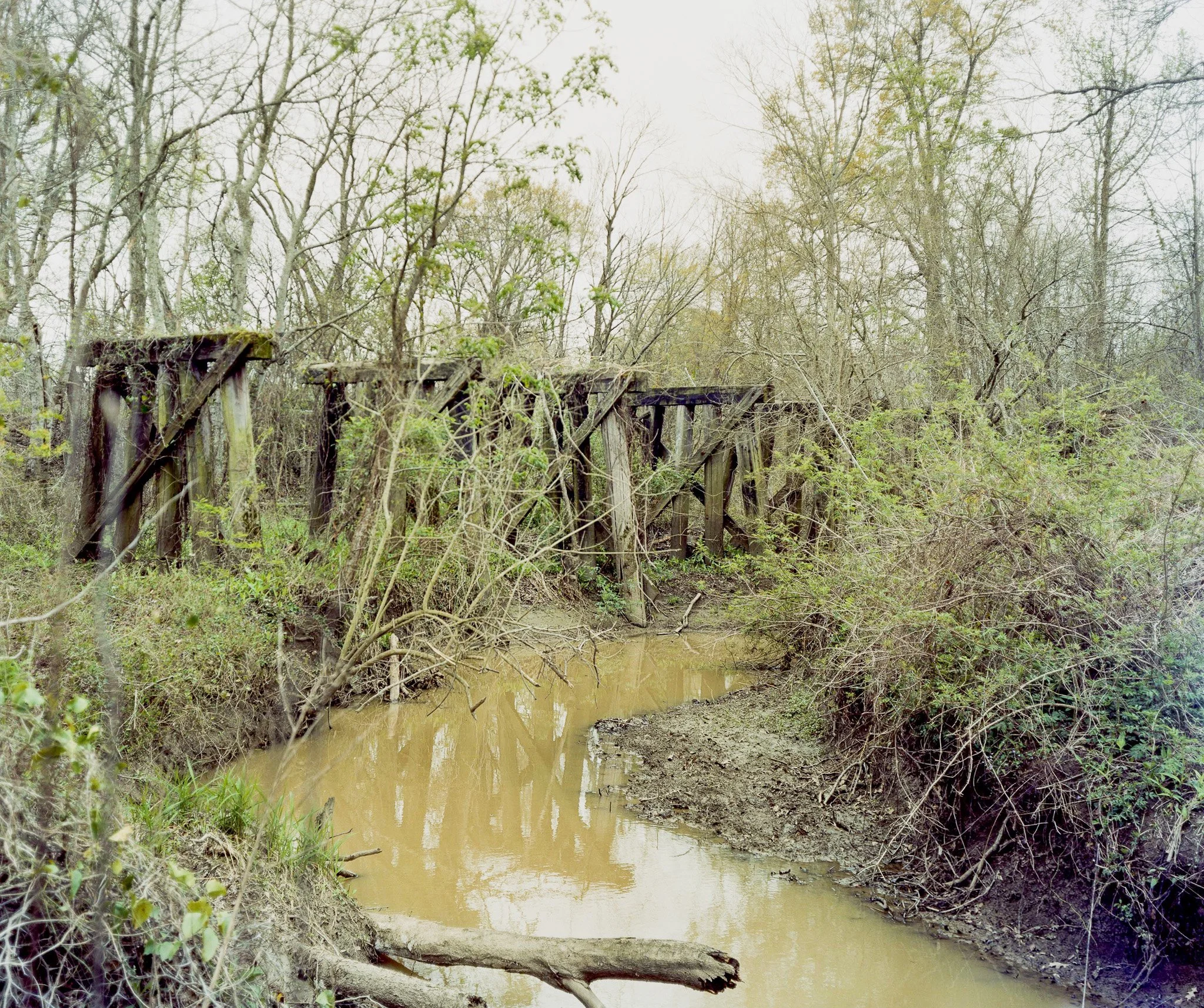 Trestle in the Morass