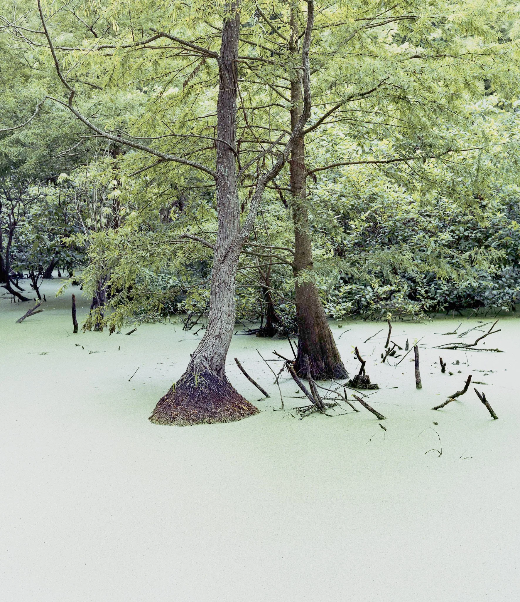Gather 'Round the Ancient Lake
