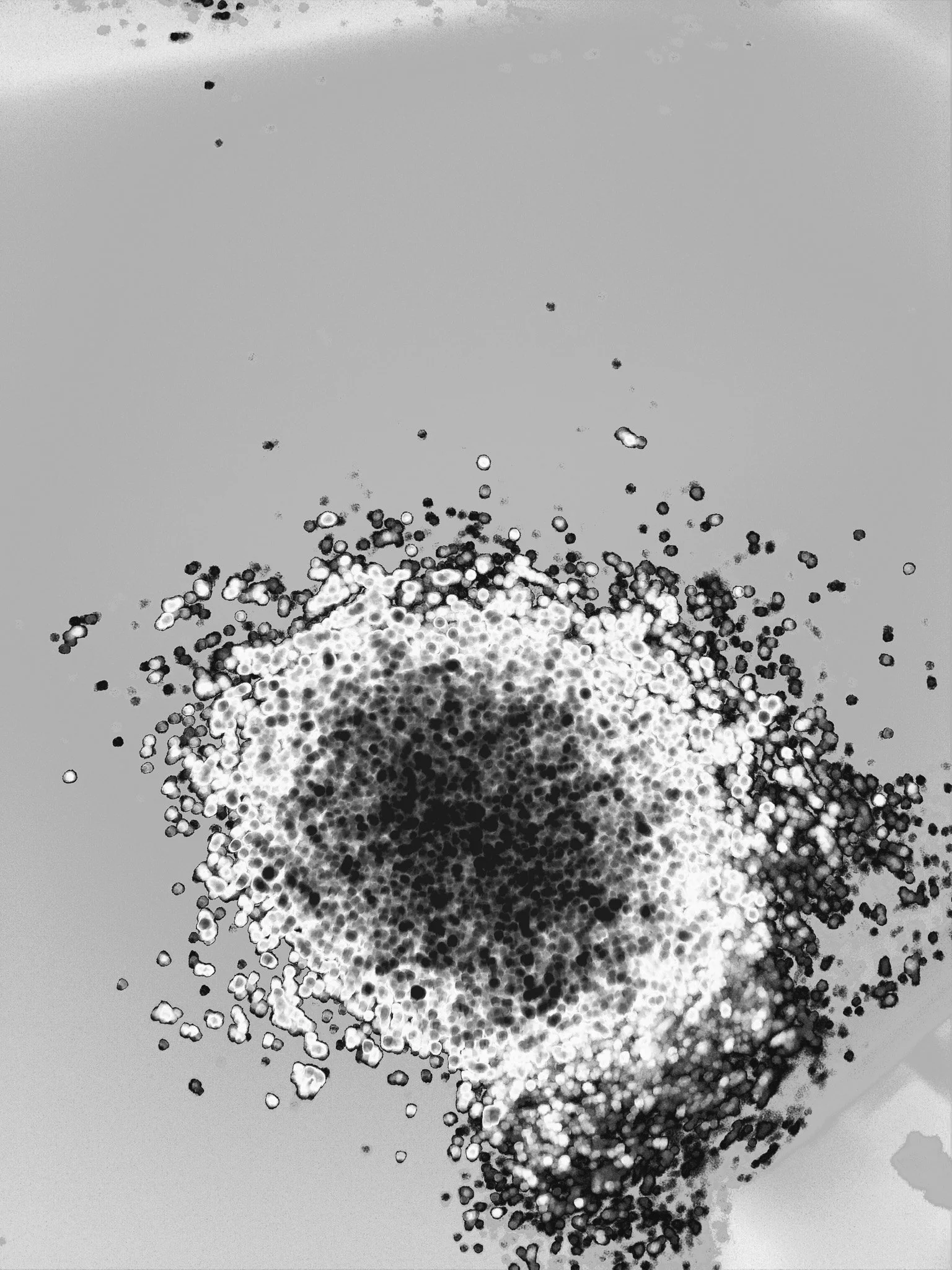 Void