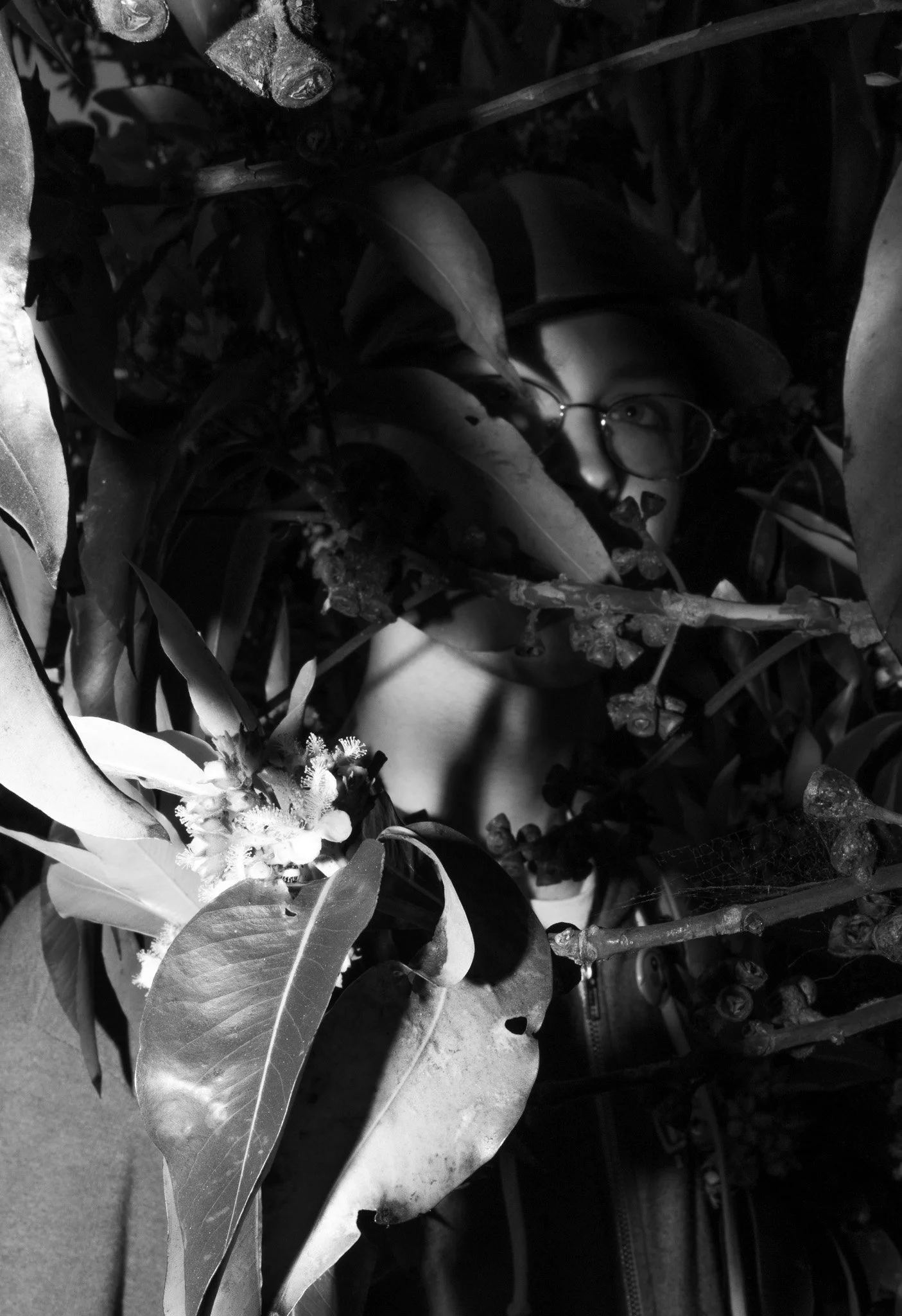 Emerging