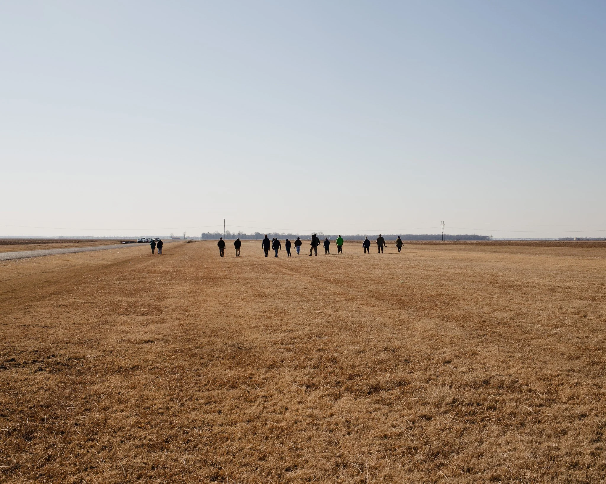 Search Party