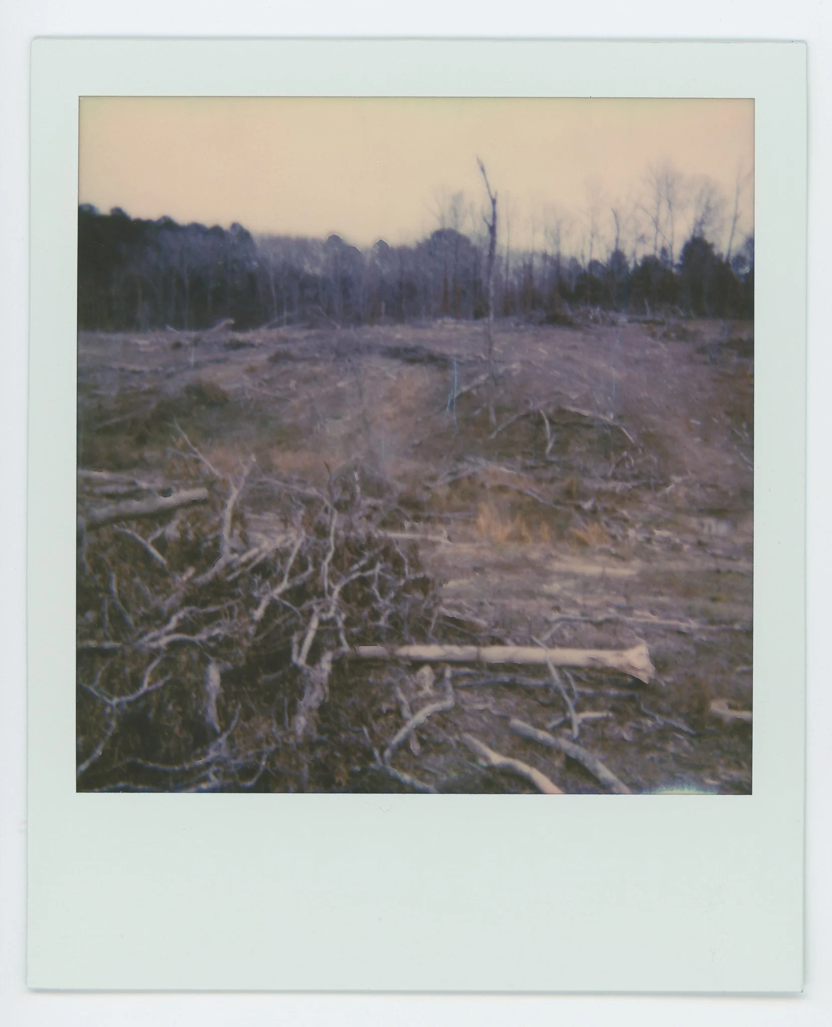 Razed