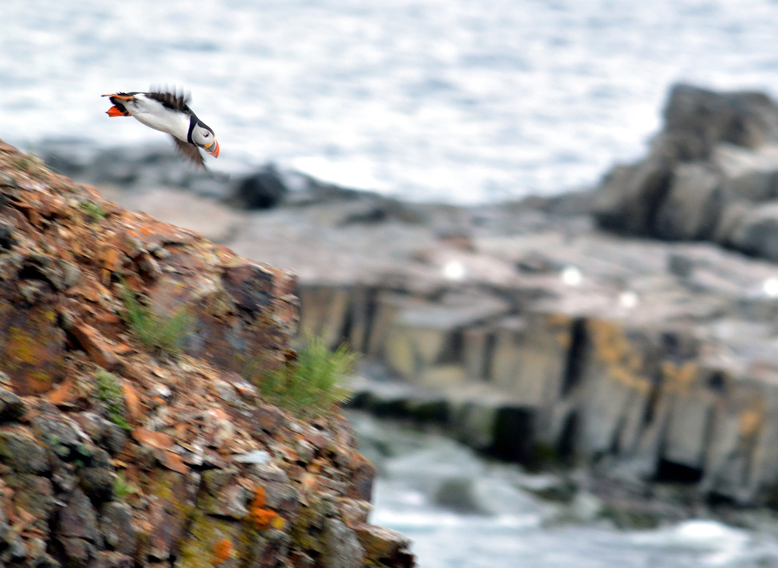 Canadian Wind Energy