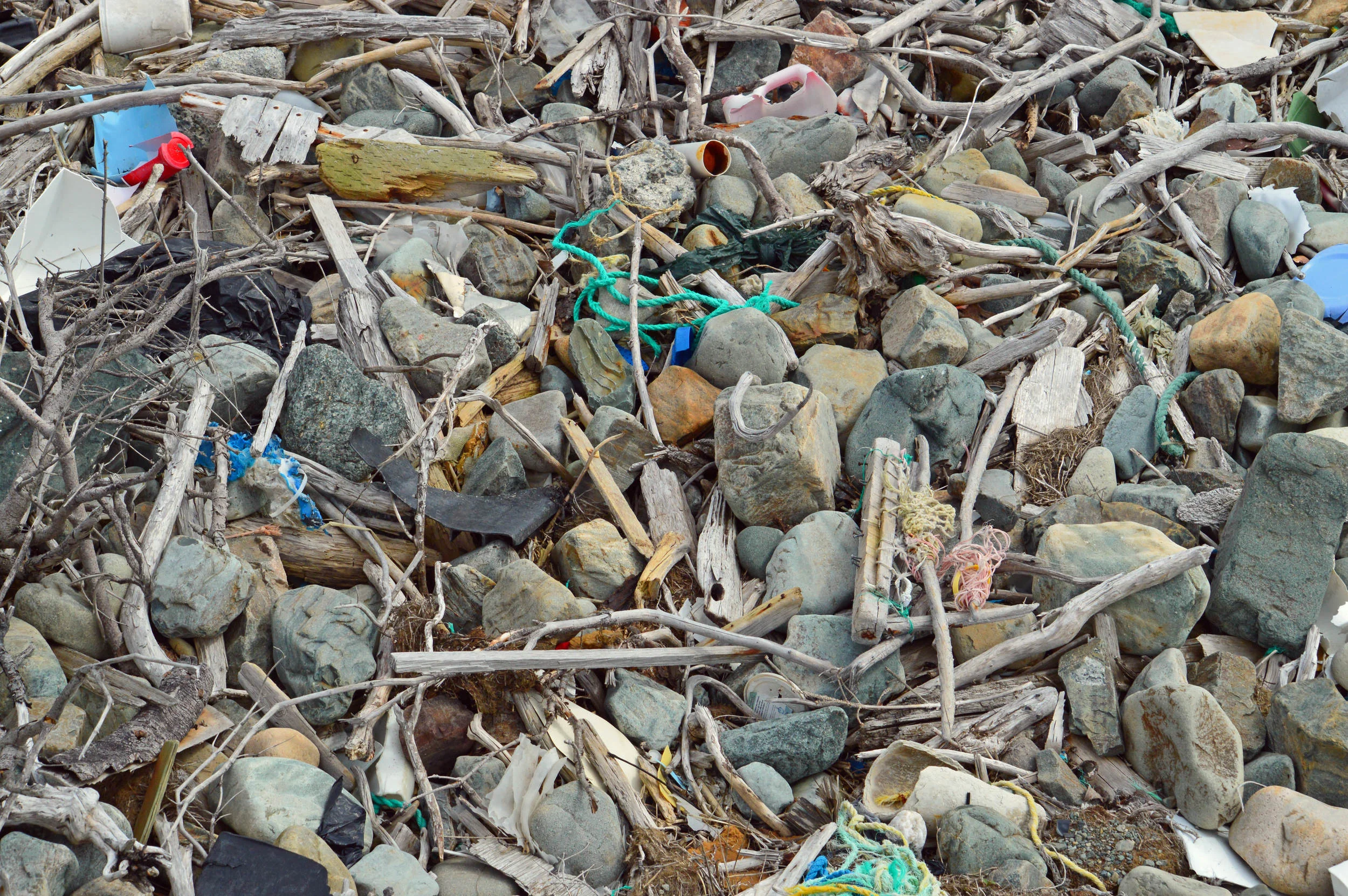 Plastic Oyster Complexity