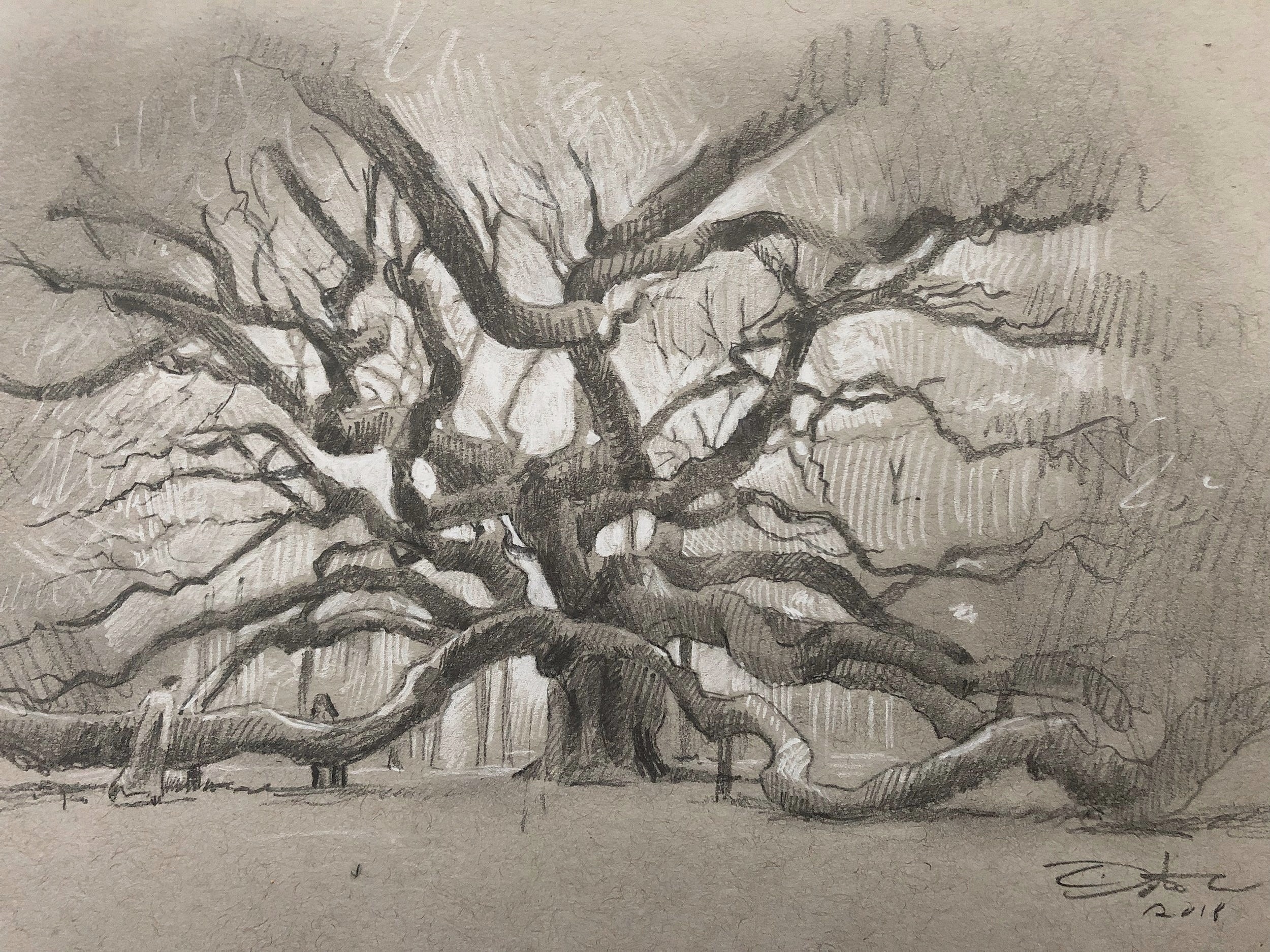Angel Oak