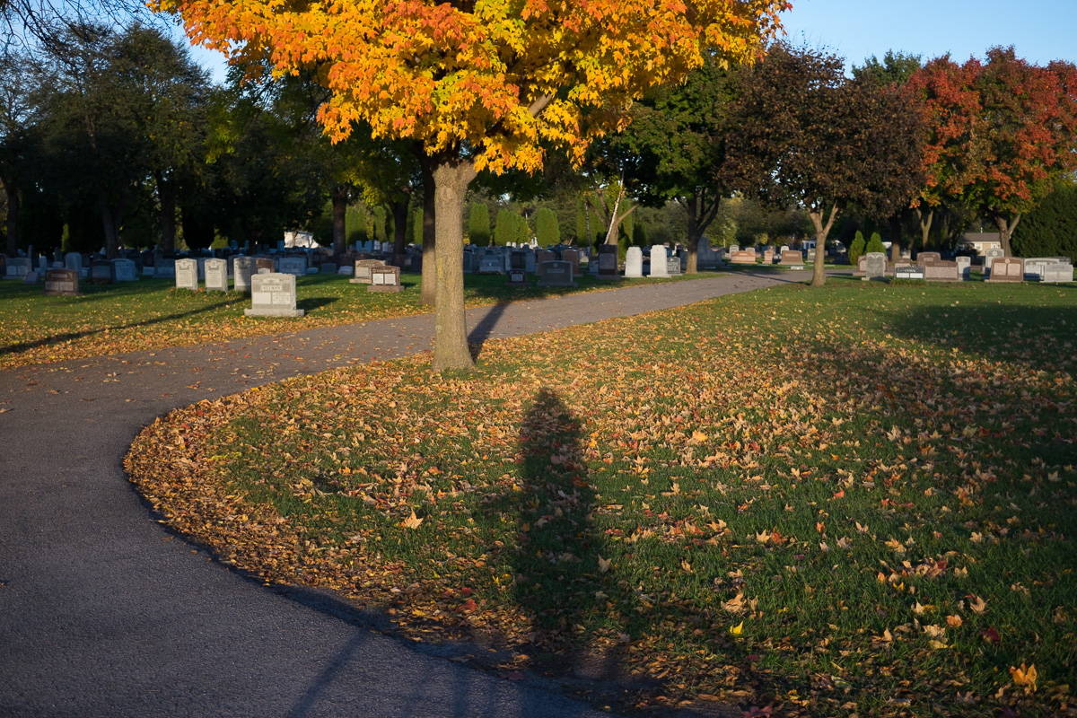 _DSF09331.jpg