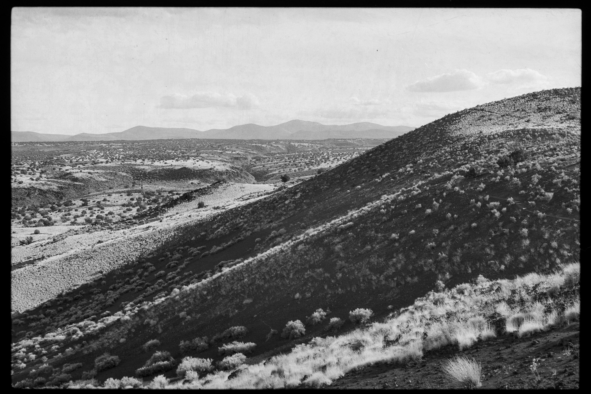 Terrain around Doney Mountain, Coconino County, Arizona