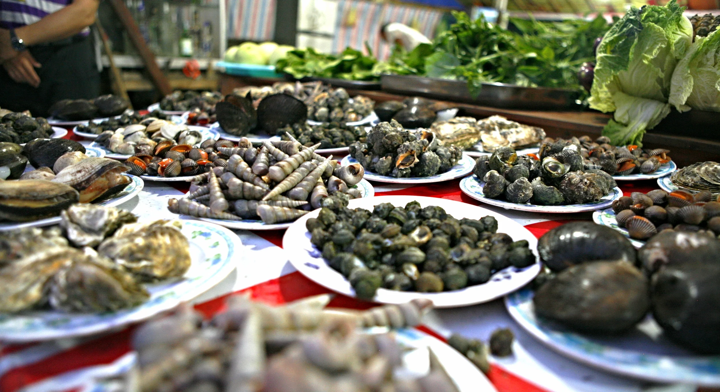 Assorted shellfish and mollusks on display for diners to select