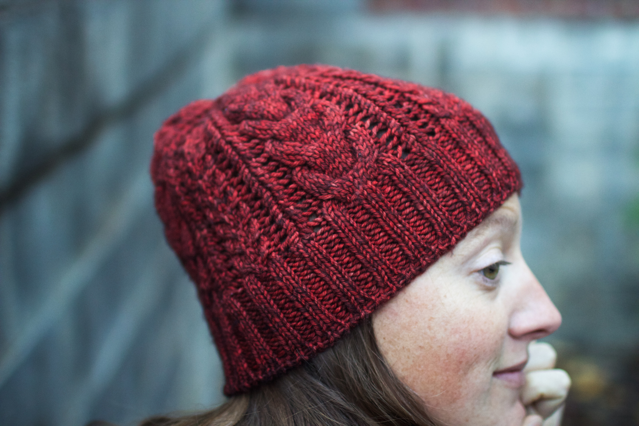 Hat: "Bray Cap" by Jared Flood. Yarn: Madelinetosh tosh dk in "Cardinal."