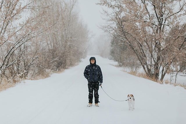 The first day of 2020 graced us with a big, quiet snowstorm that dropped several inches of powdery snow. I love the sound of squeaky snow boots on cold, fresh snow. Happy New Year from me, Jackson, and Willoughby. One of my goals for 2020 is to take 