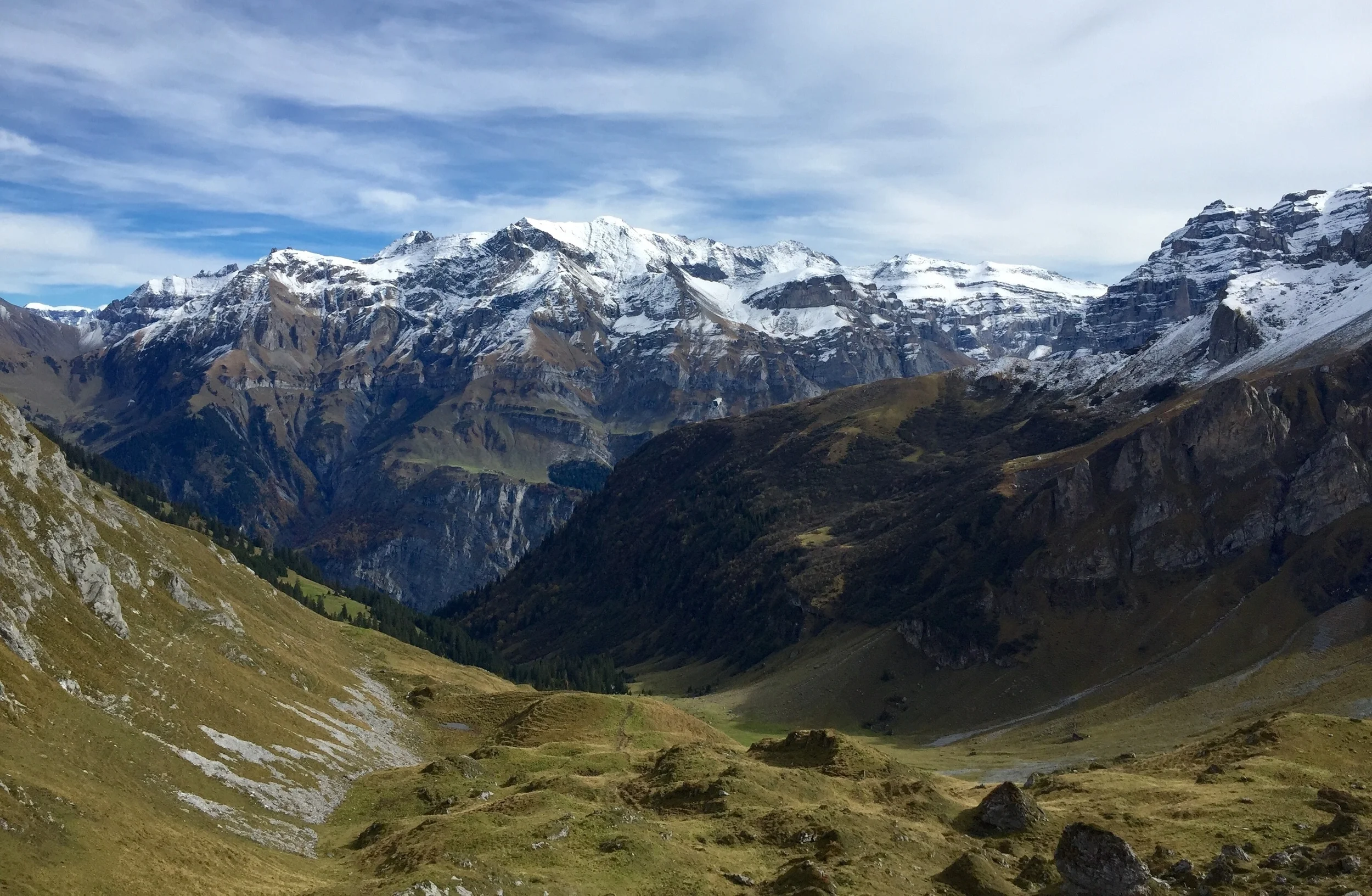 TSZ - Mountain 3.jpg