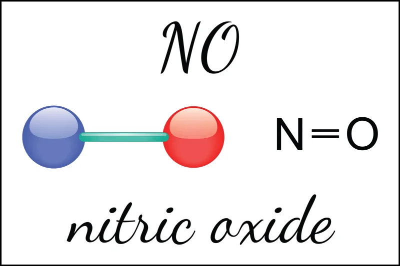 Nitric oxide: the miracle molecule.