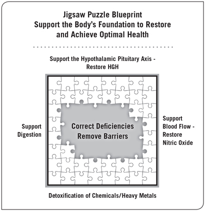 To restore and achieve optimal health, Support the body's foundation. Click to enlarge jigsaw puzzle blueprint .