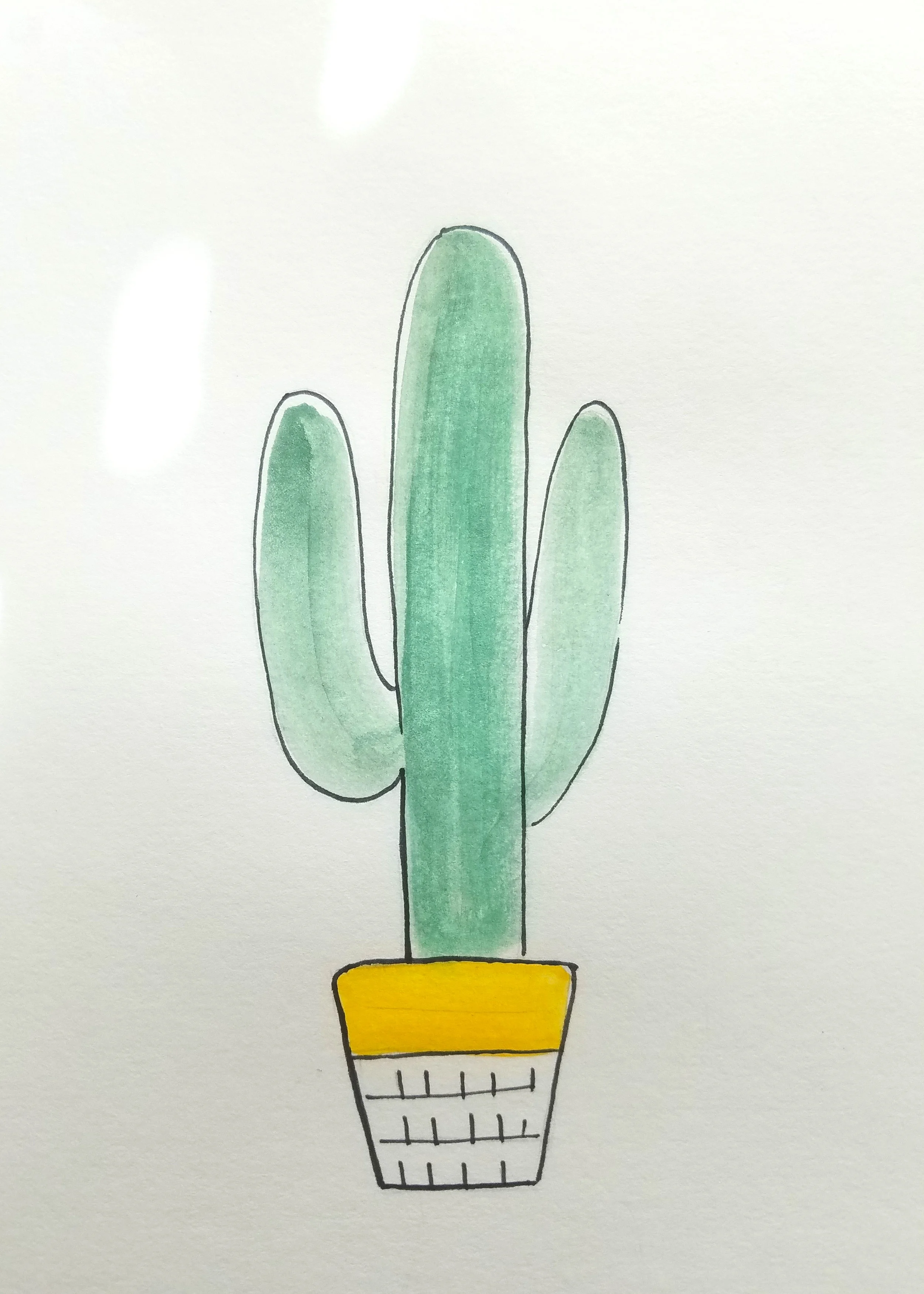 Cacto