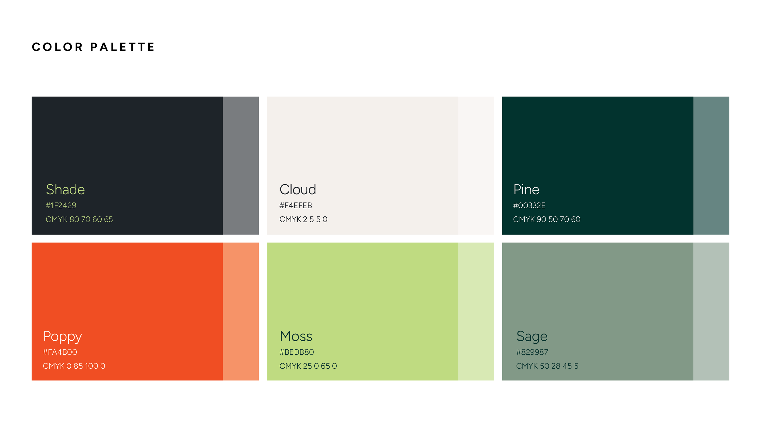 Fuller Picture_Brand-Guide_11.png