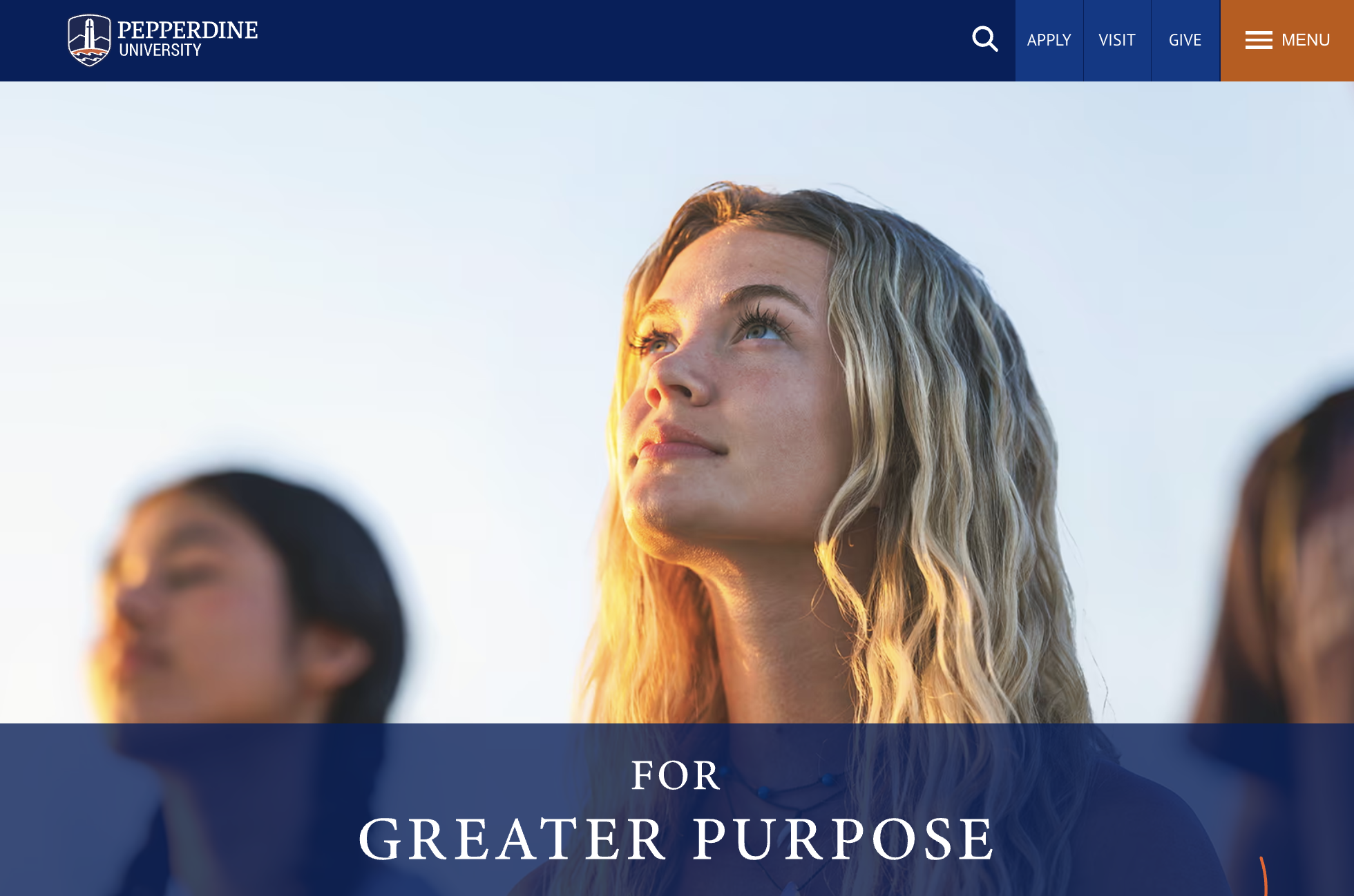 Screenshot of menu, hero image, and title on the campaign website.