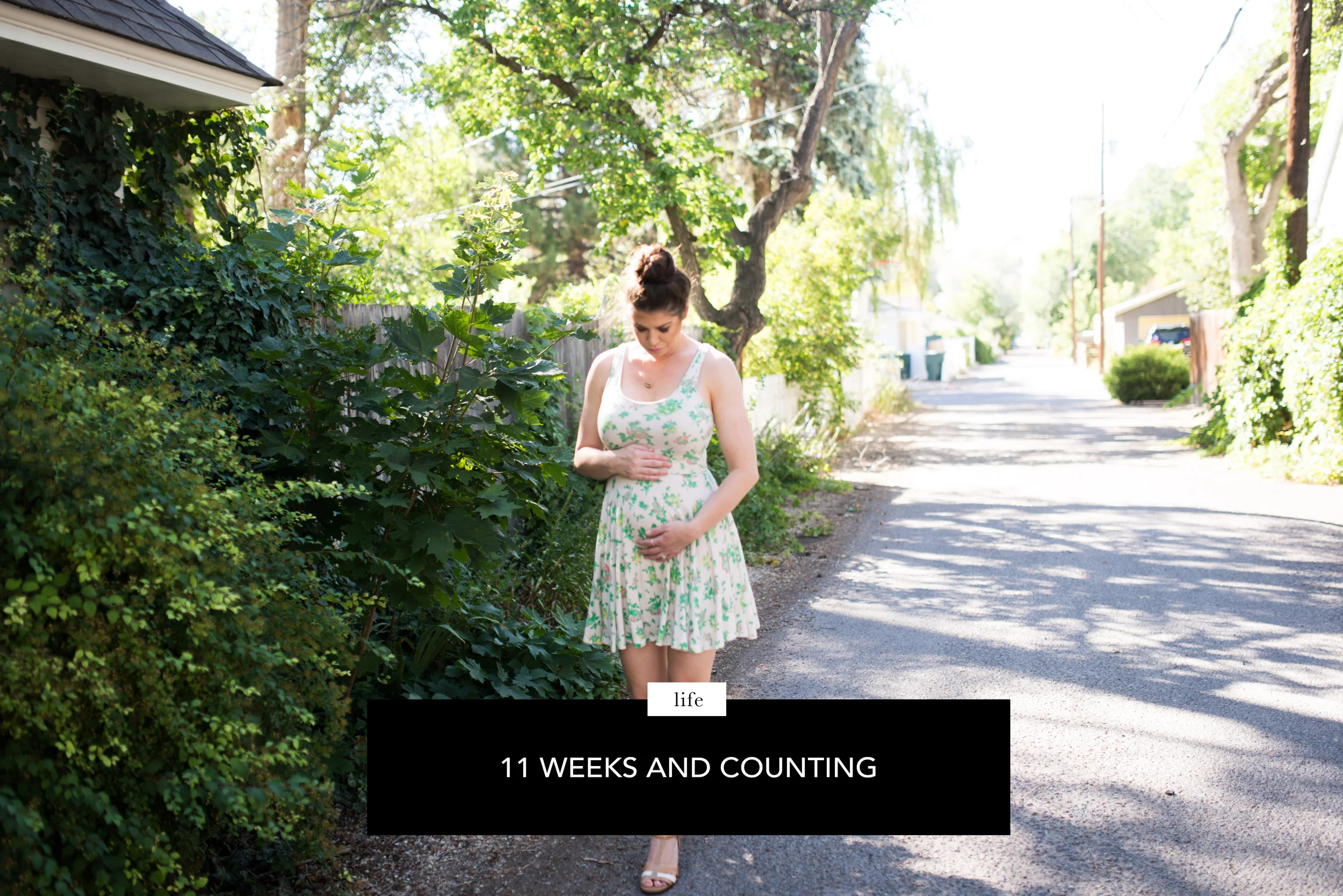 photographs taken by whitney richardson
