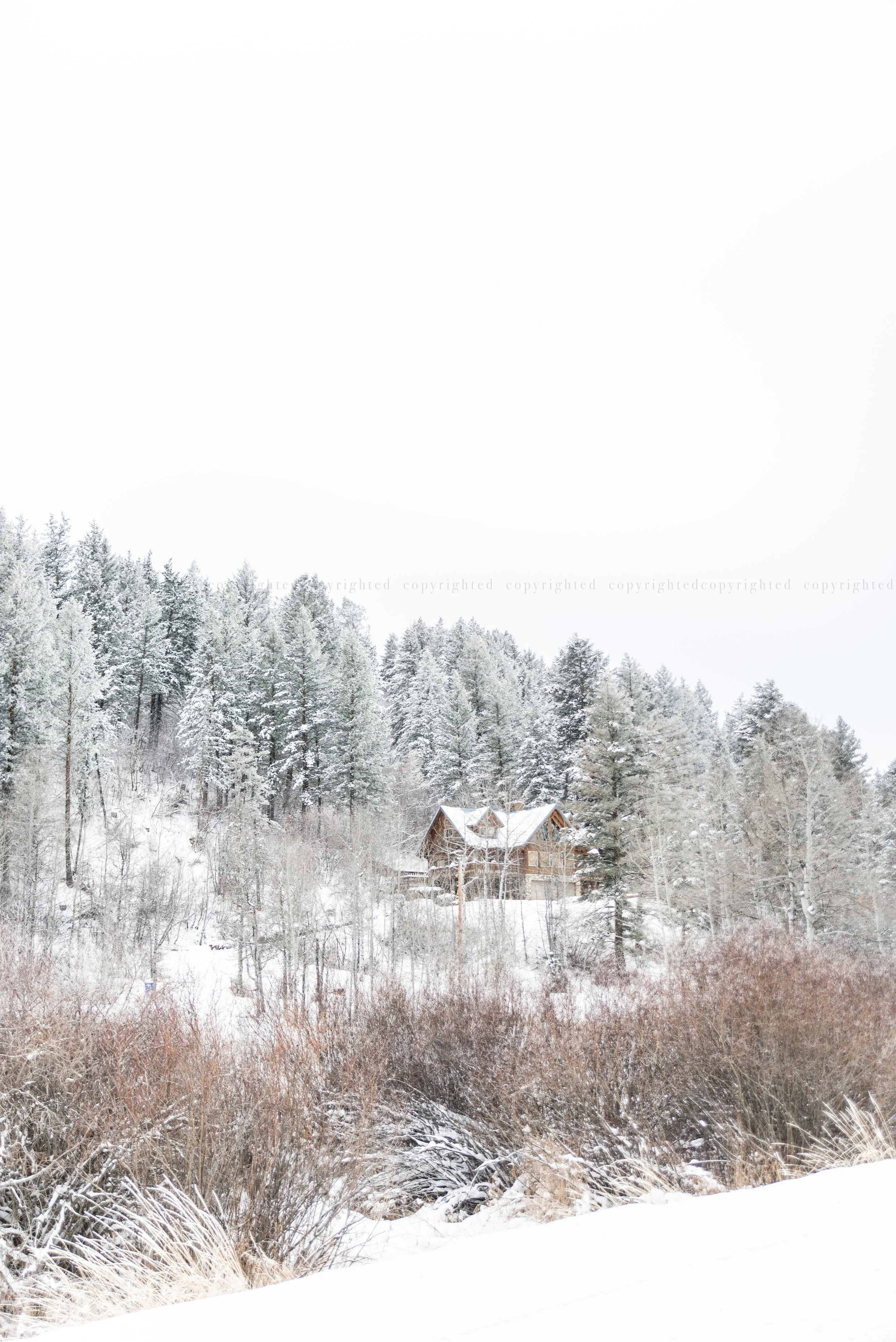 "cabin in the woods"