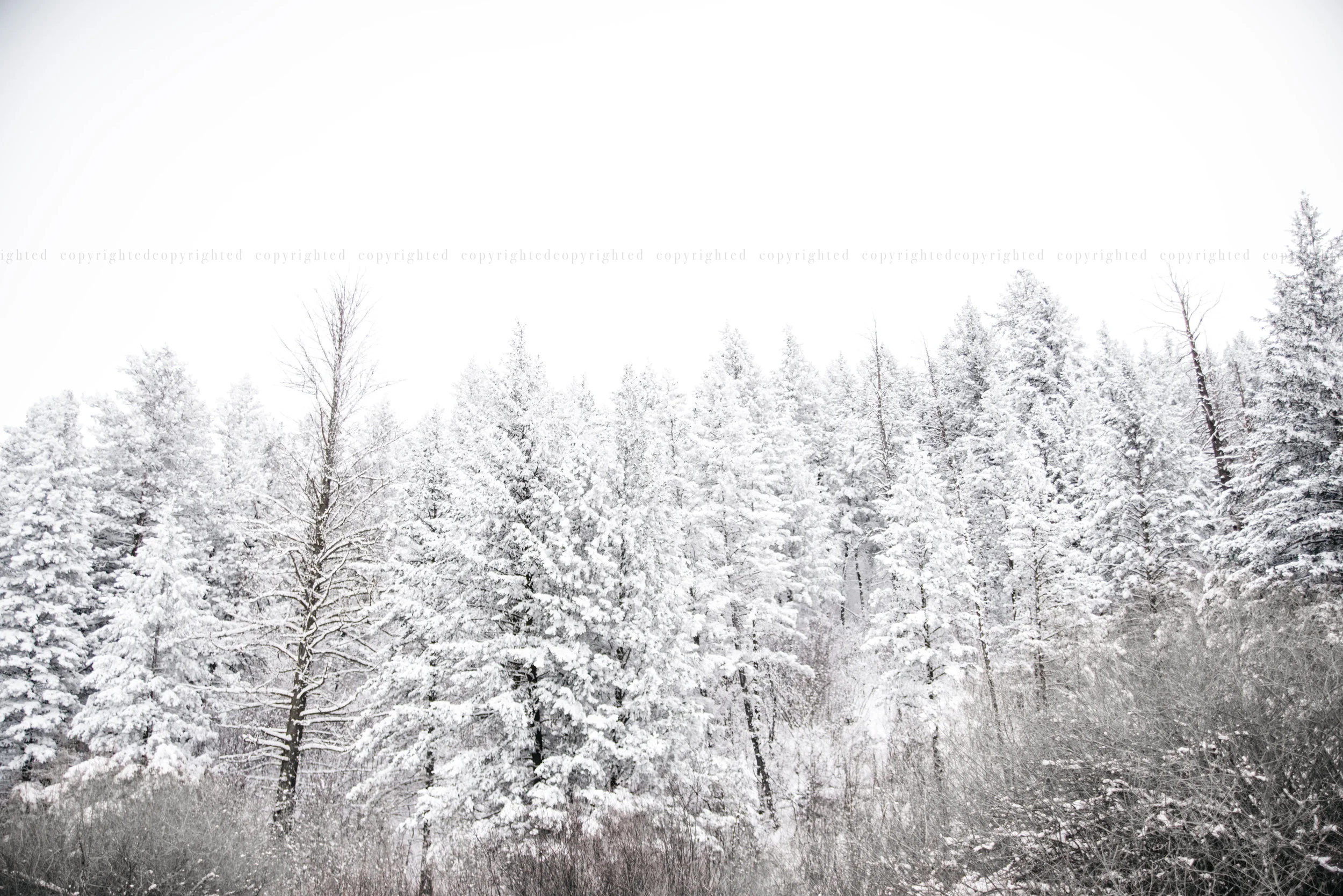"snow covered mountain tops"